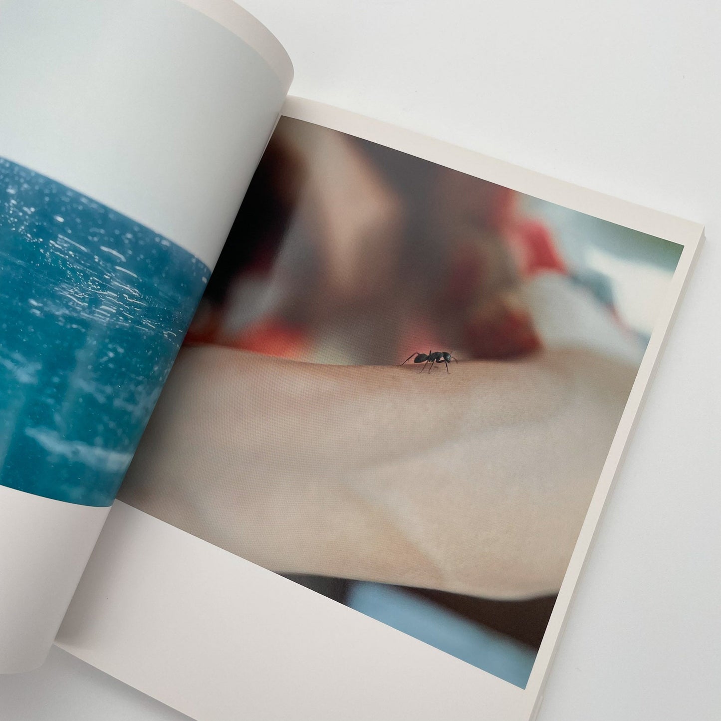 川内倫子　うたたね - 文福