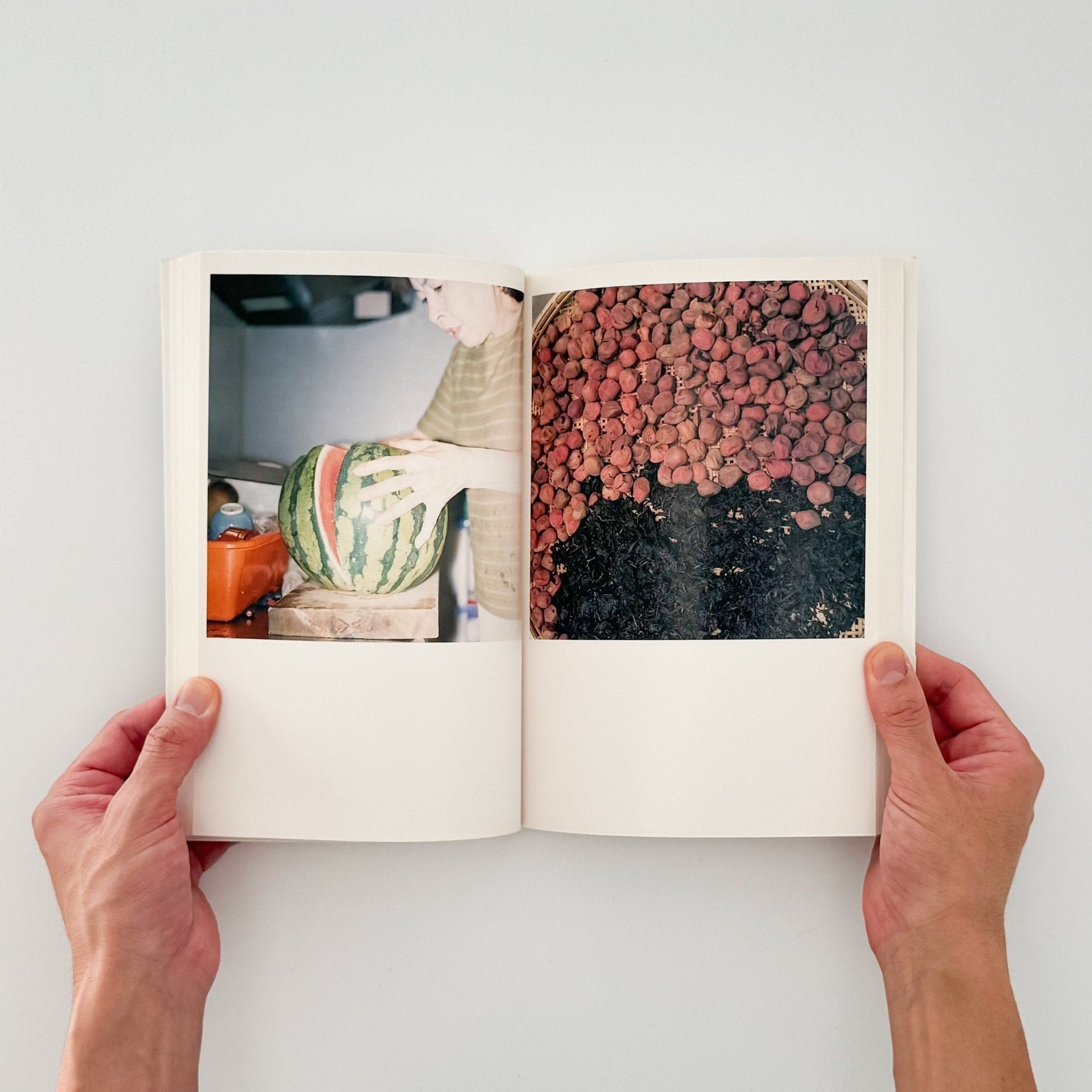 川内倫子　CUI CUI [キュイ キュイ] - フォイル - 文福