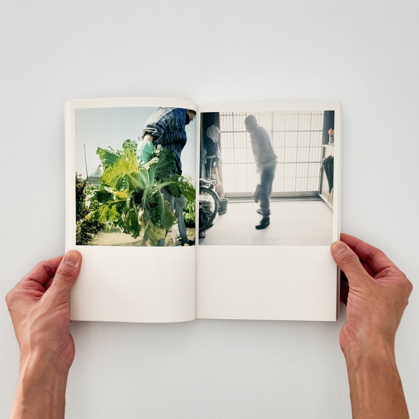 川内倫子　CUI CUI [キュイ キュイ] - フォイル - 文福