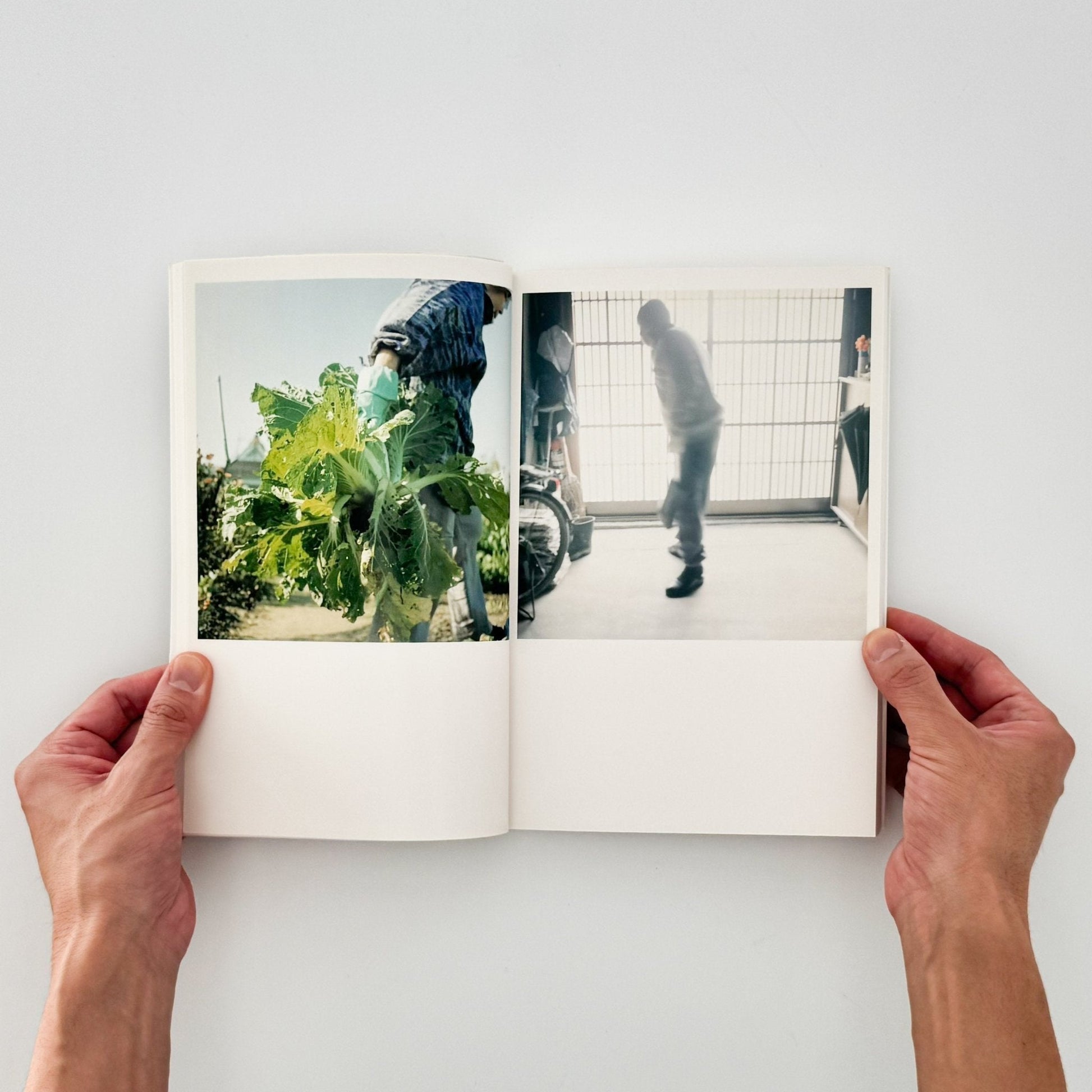 川内倫子　CUI CUI [キュイ キュイ] - フォイル - 文福