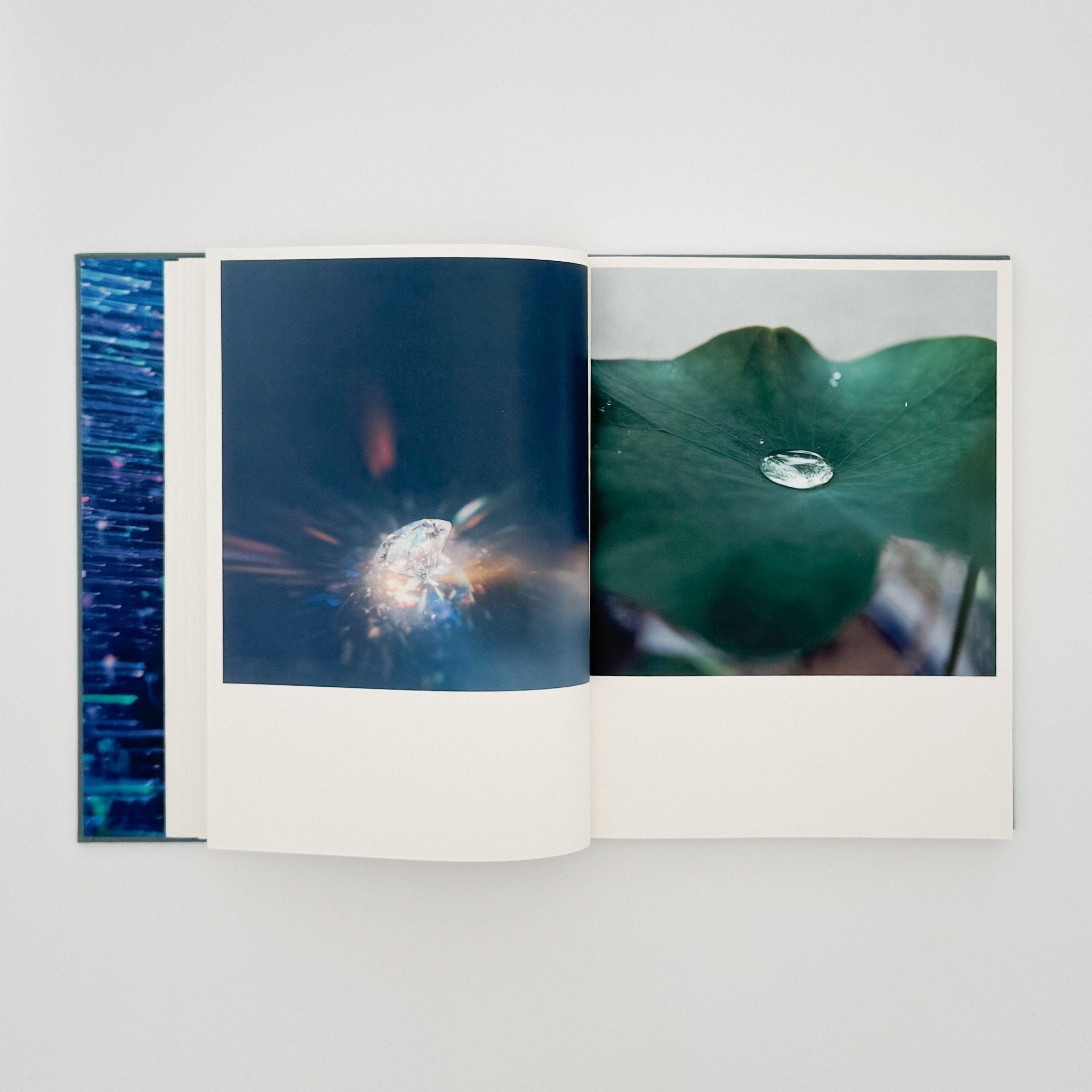 川内伦子写真集IIlluminance / Foil – 文福