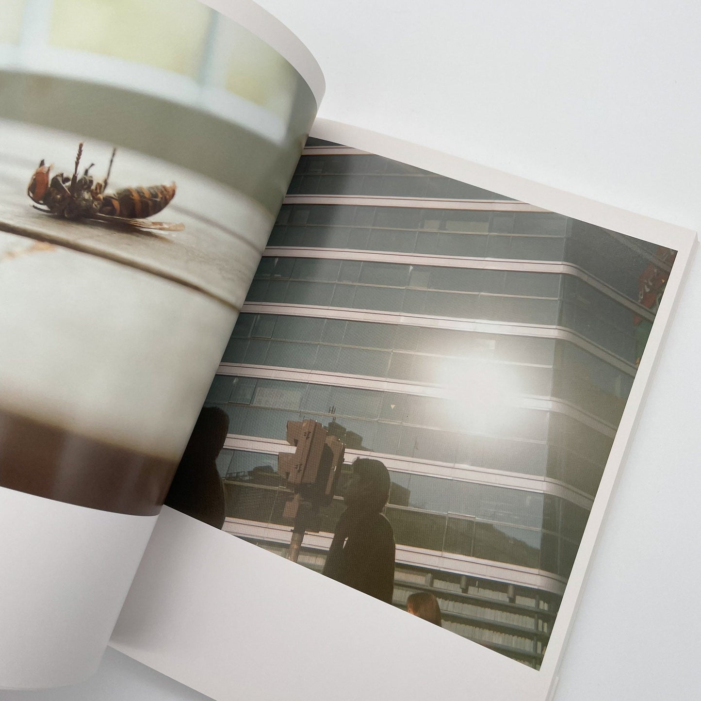 川内倫子　うたたね - 文福