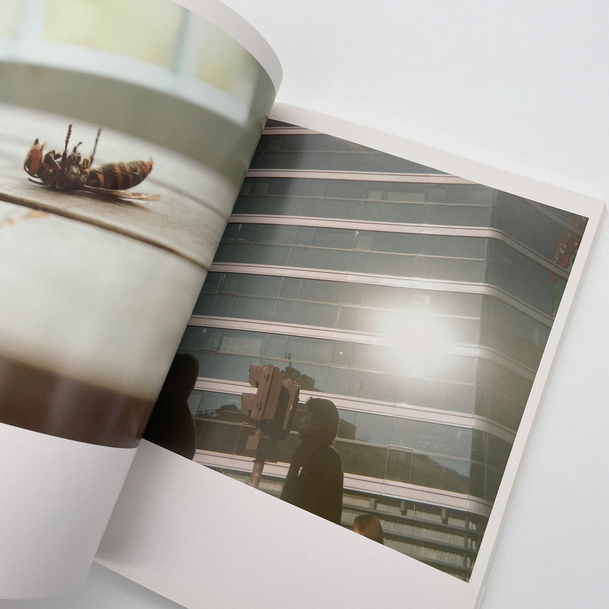 川内倫子　うたたね - 文福