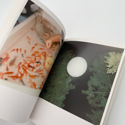 川内倫子　うたたね - 文福