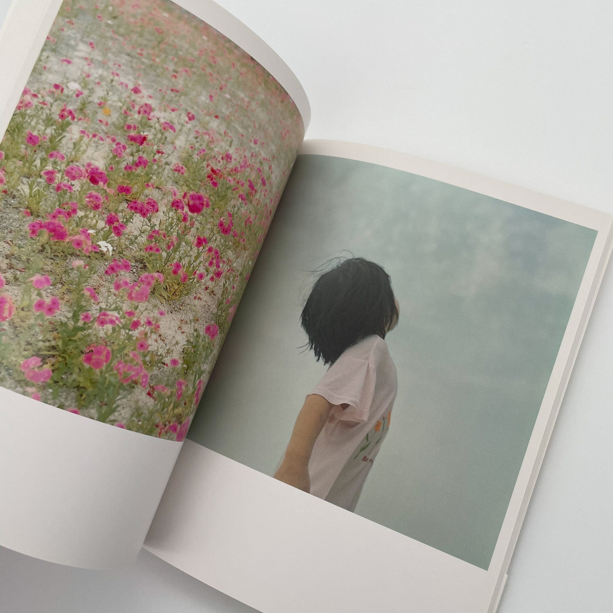 川内倫子写真集 うたたね – 文福