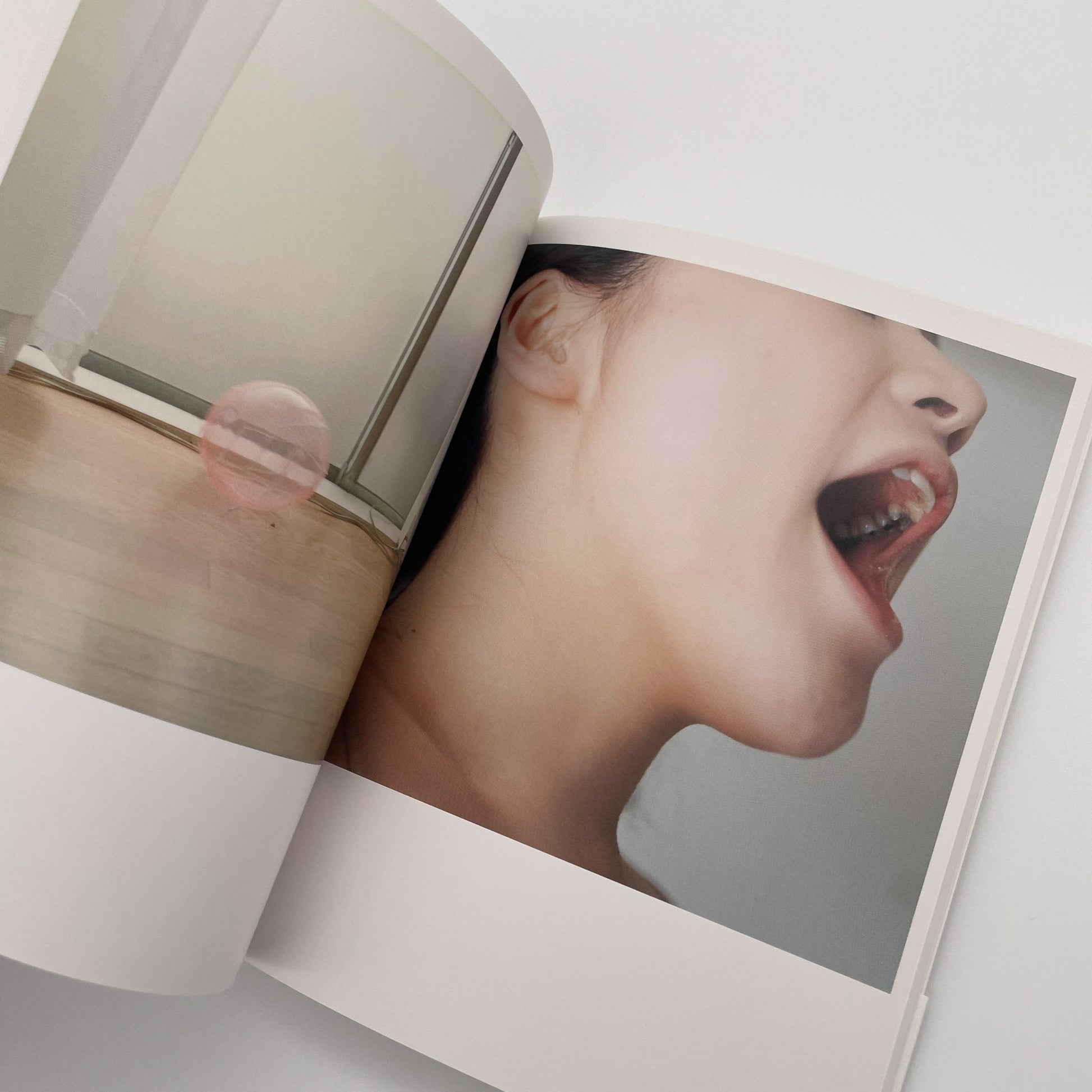 川内倫子　うたたね - 文福