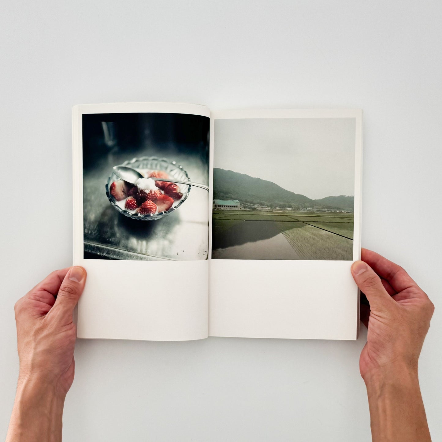 川内倫子　CUI CUI [キュイ キュイ] - 写真集