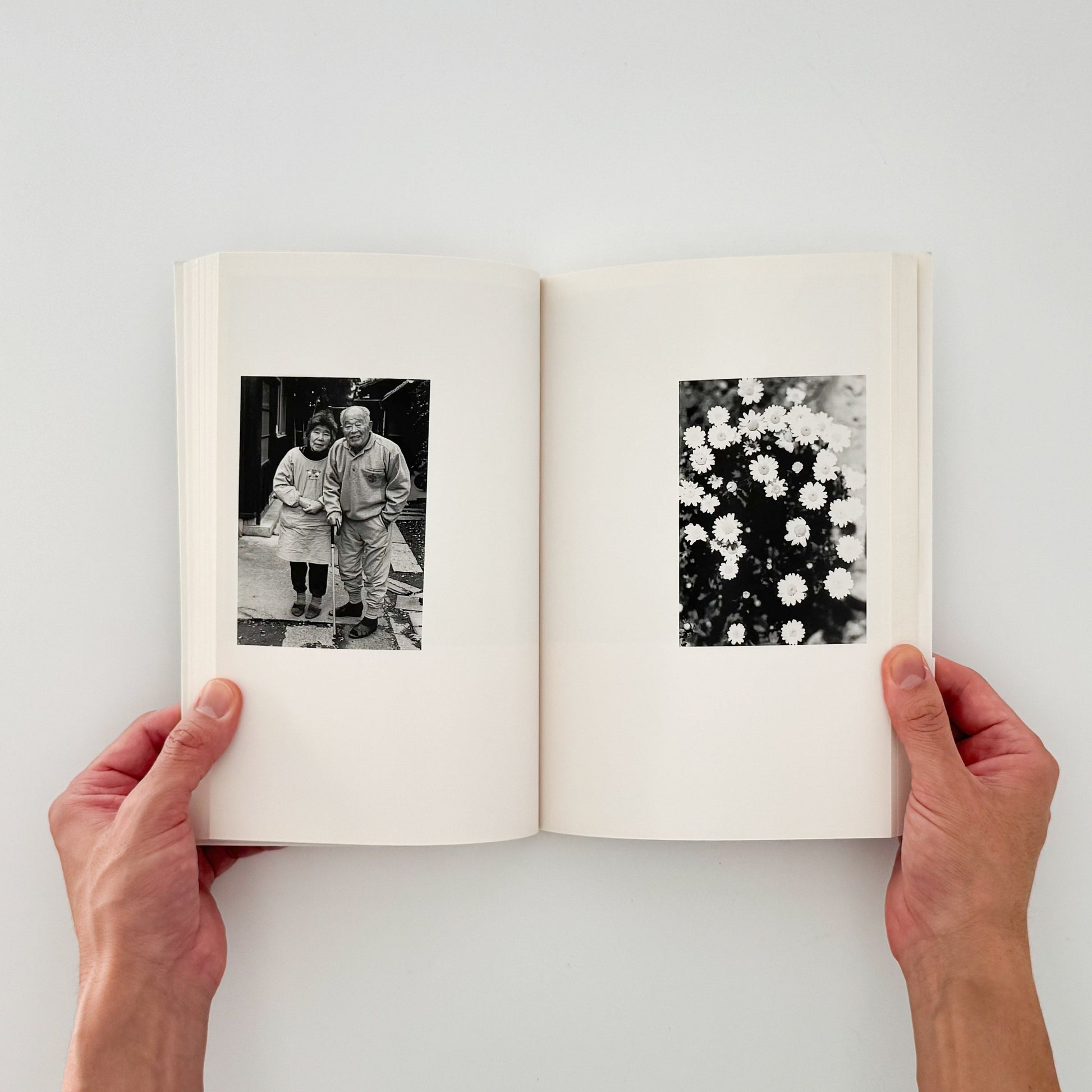 川内倫子　CUI CUI [キュイ キュイ] - 写真集