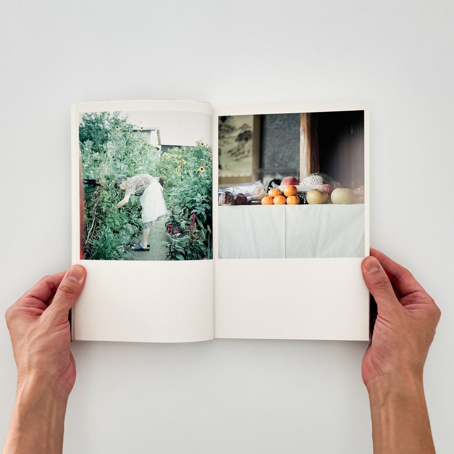 川内倫子　CUI CUI [キュイ キュイ] フォイル