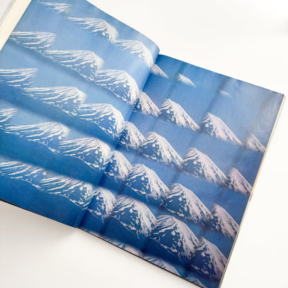 奈良原一高  ジャパネスク JAPANESQUE 毎日新聞社