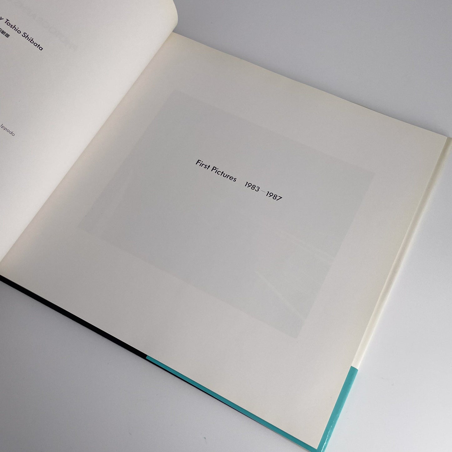 柴田敏雄　日本典型 朝日新聞社