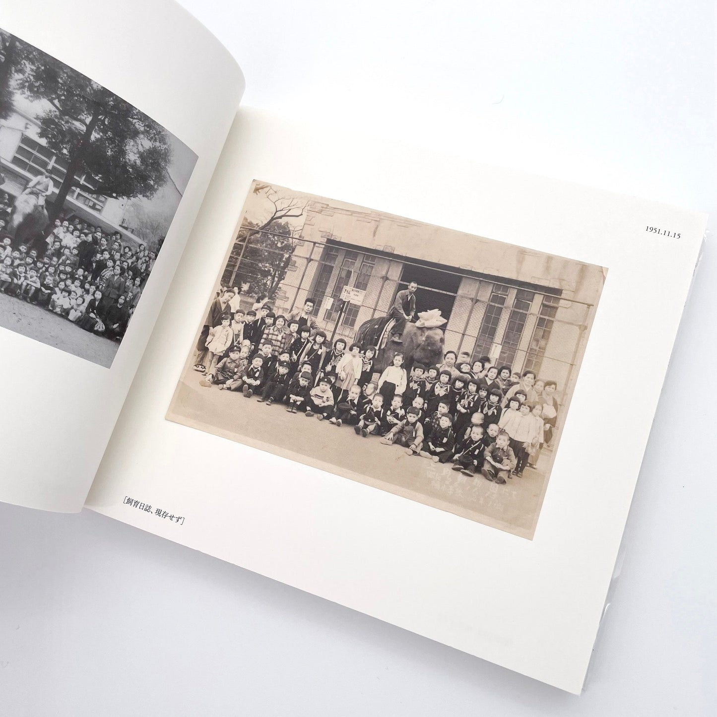 記録集 はな子のいる風景：イメージを（ひっ）くりかえす 武蔵野市立吉祥寺美術館