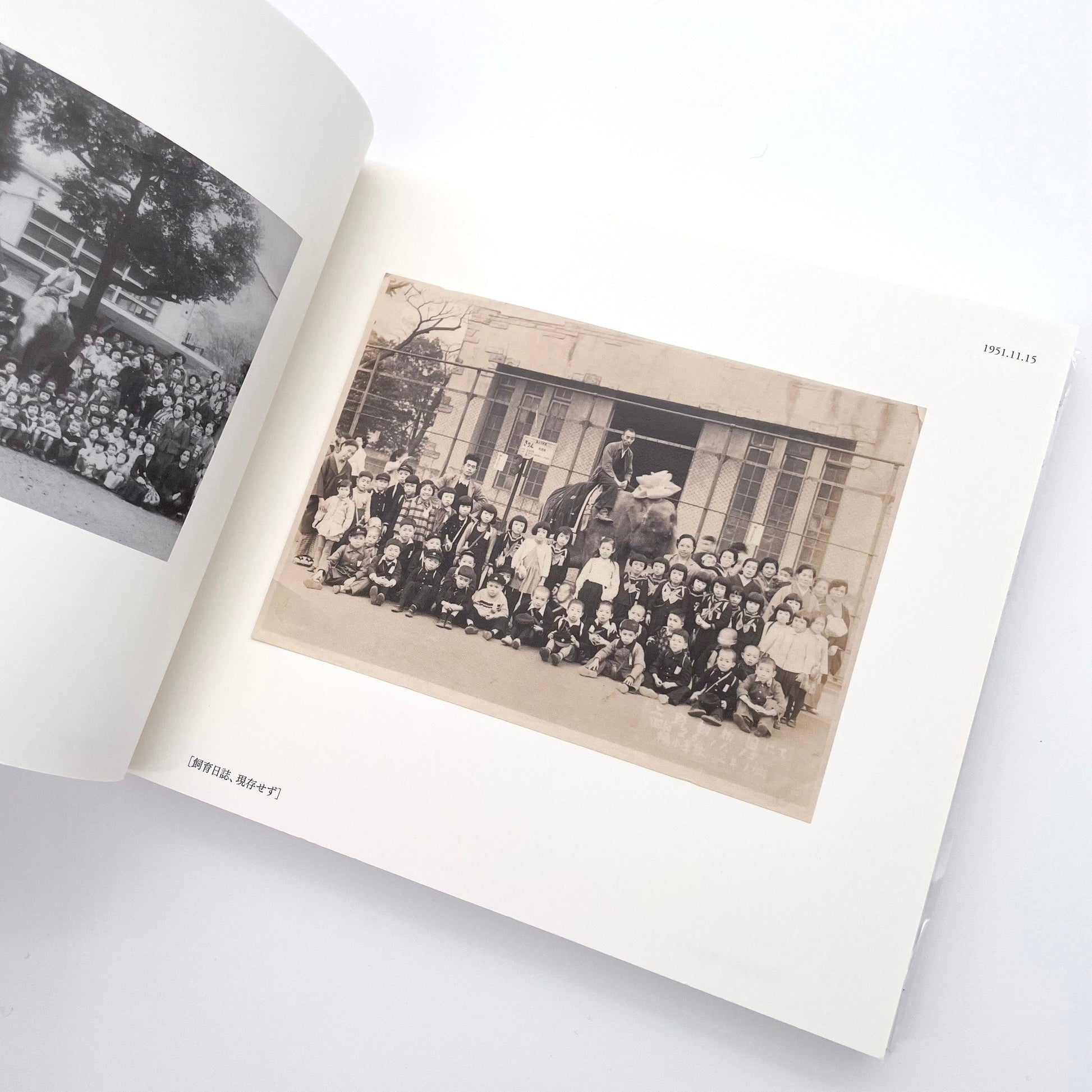 記録集 はな子のいる風景：イメージを（ひっ）くりかえす 武蔵野市立吉祥寺美術館