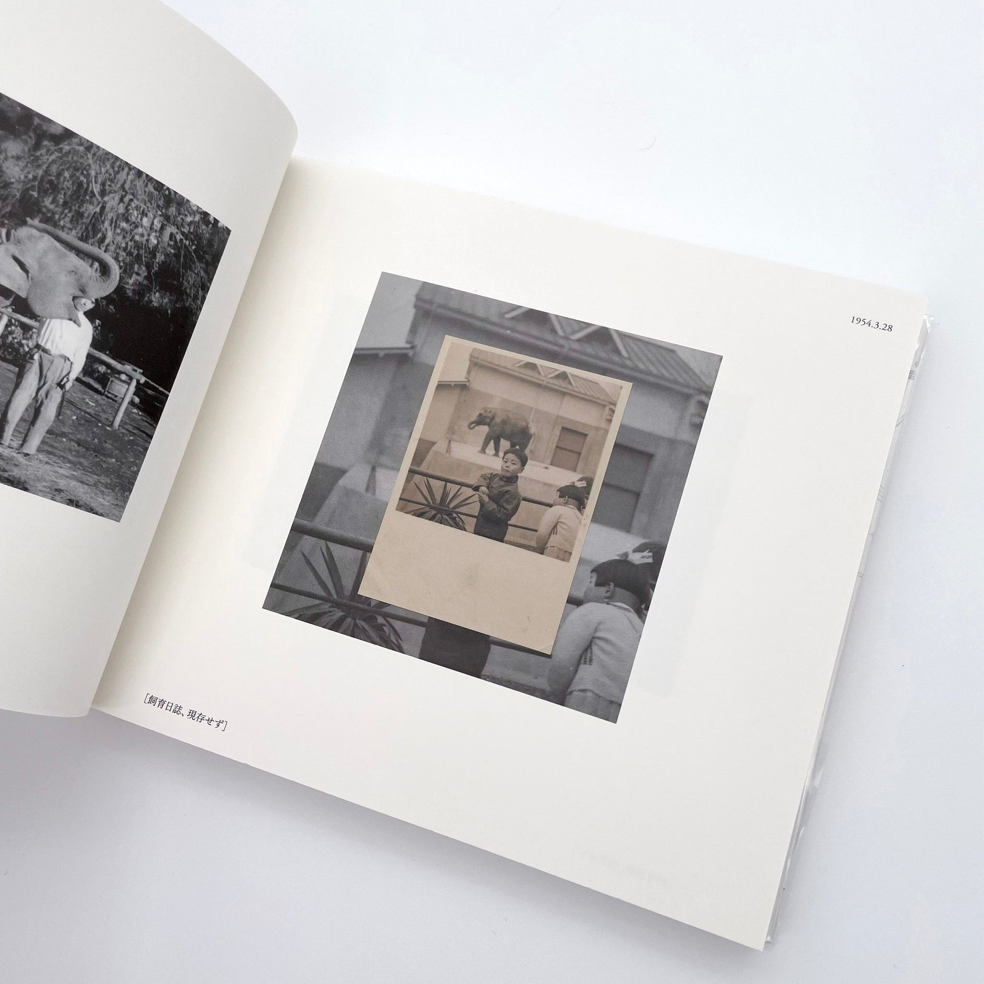 記録集 はな子のいる風景：イメージを（ひっ）くりかえす 武蔵野市立吉祥寺美術館