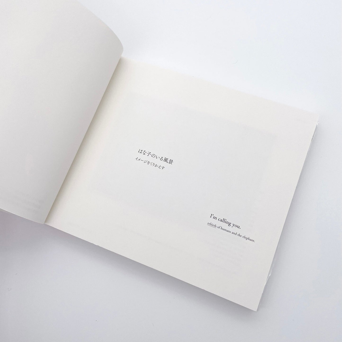 記録集 はな子のいる風景：イメージを（ひっ）くりかえす 武蔵野市立吉祥寺美術館