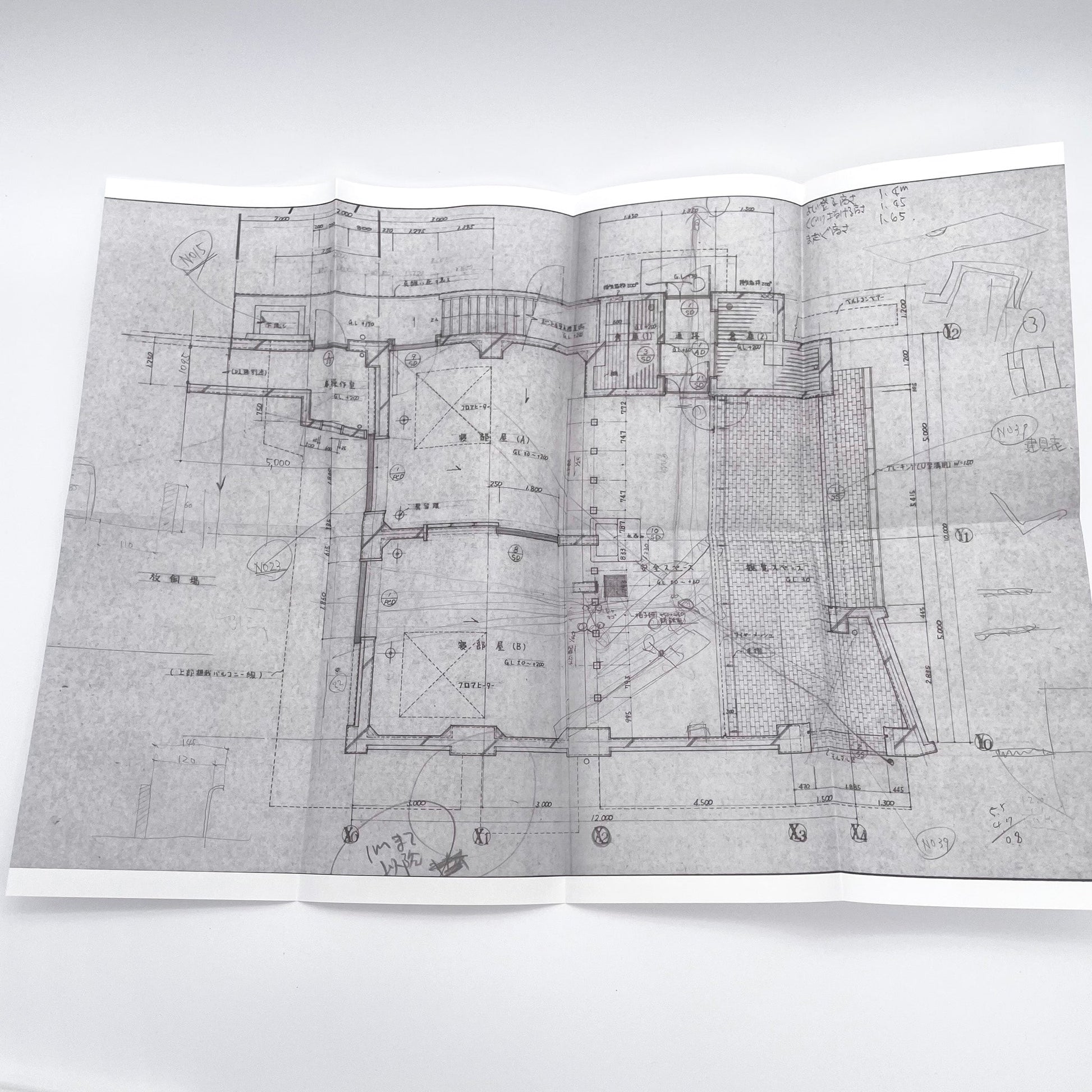 記録集 はな子のいる風景：イメージを（ひっ）くりかえす 武蔵野市立吉祥寺美術館