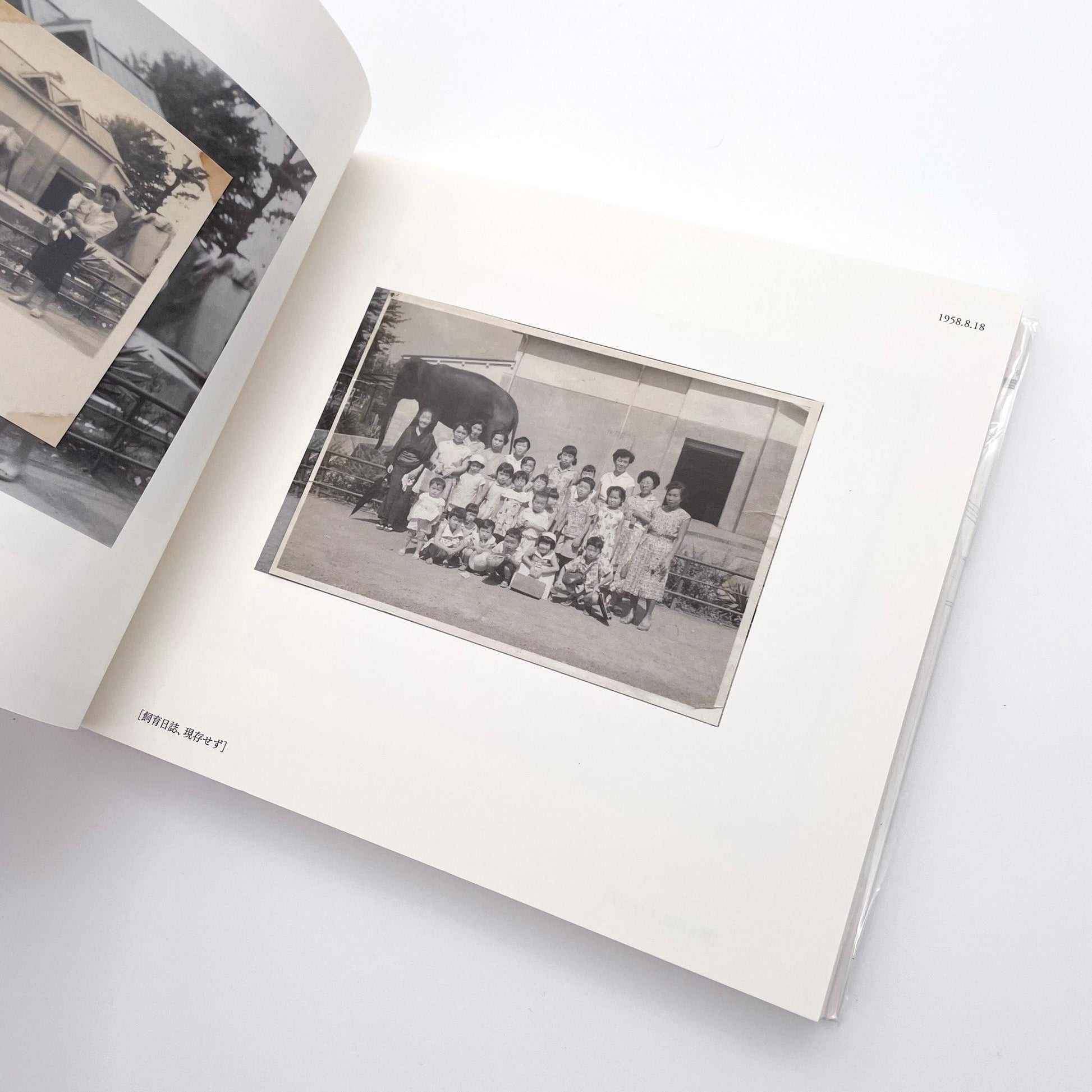 記録集 はな子のいる風景：イメージを（ひっ）くりかえす 武蔵野市立吉祥寺美術館