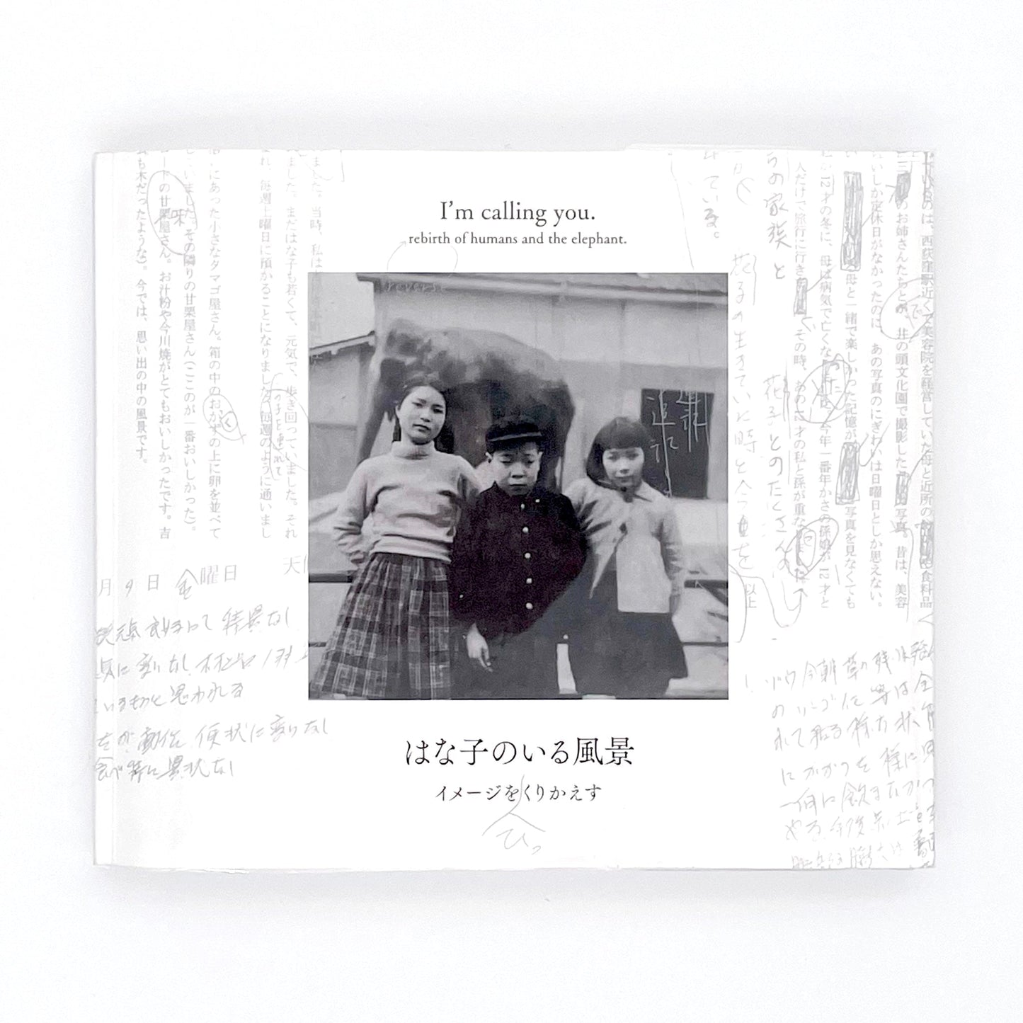 記録集 はな子のいる風景：イメージを（ひっ）くりかえす - 武蔵野市立吉祥寺美術館 - 文福