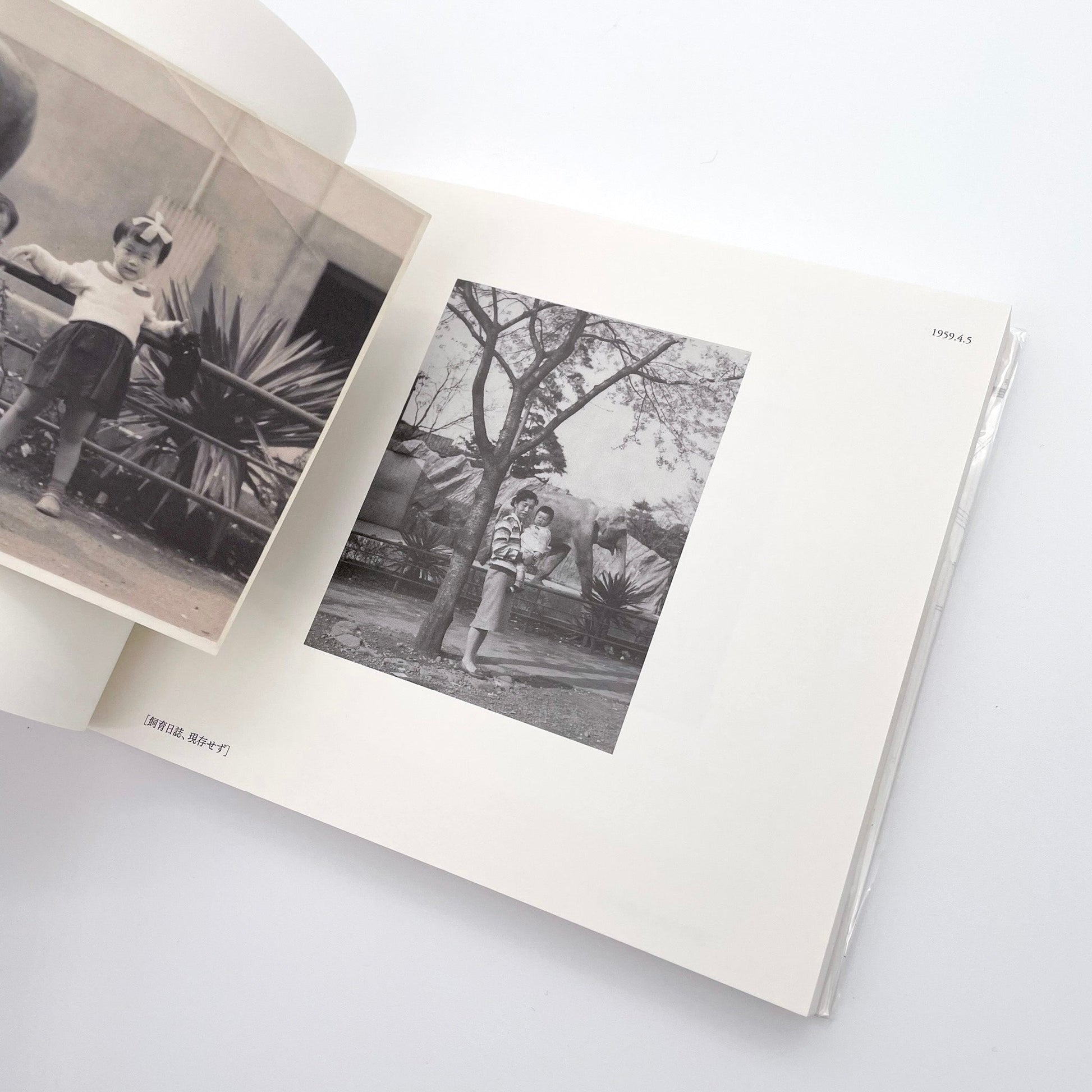 記録集 はな子のいる風景：イメージを（ひっ）くりかえす 武蔵野市立吉祥寺美術館