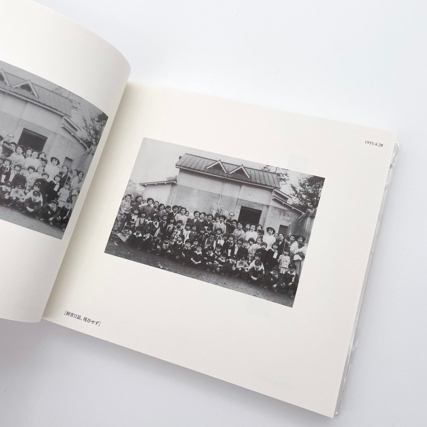 記録集 はな子のいる風景：イメージを（ひっ）くりかえす 武蔵野市立吉祥寺美術館