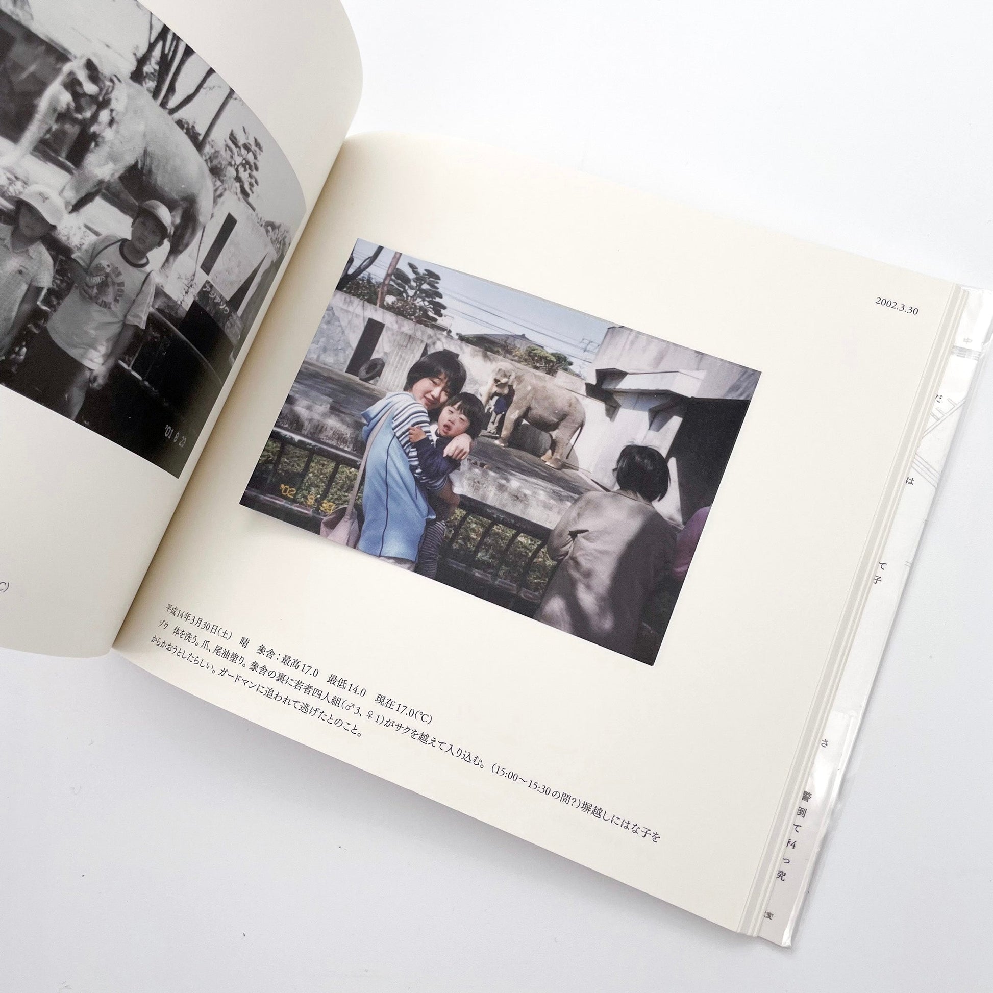 記録集 はな子のいる風景：イメージを（ひっ）くりかえす 武蔵野市立吉祥寺美術館