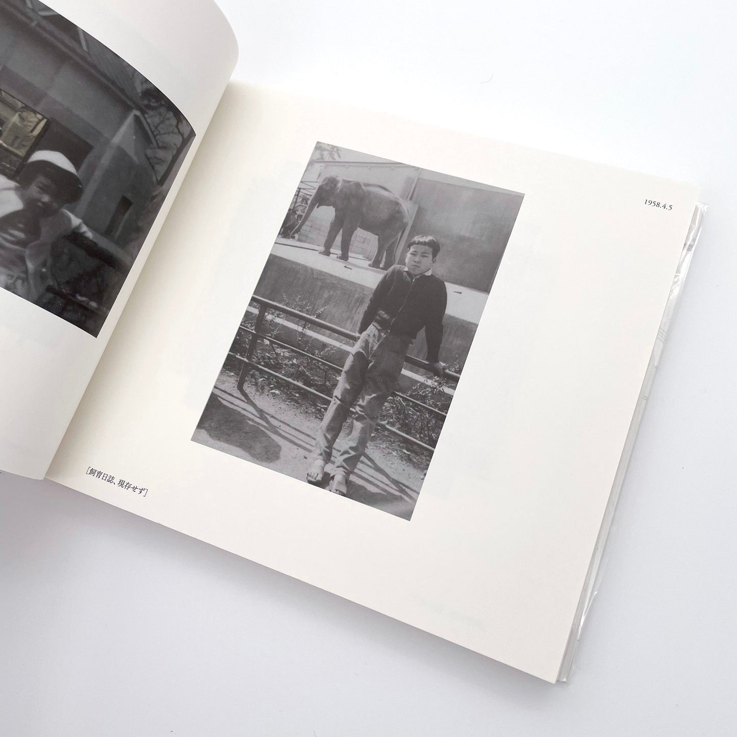 記録集 はな子のいる風景：イメージを（ひっ）くりかえす 武蔵野市立吉祥寺美術館