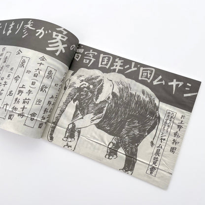 記録集 はな子のいる風景：イメージを（ひっ）くりかえす - 武蔵野市立吉祥寺美術館 - 文福