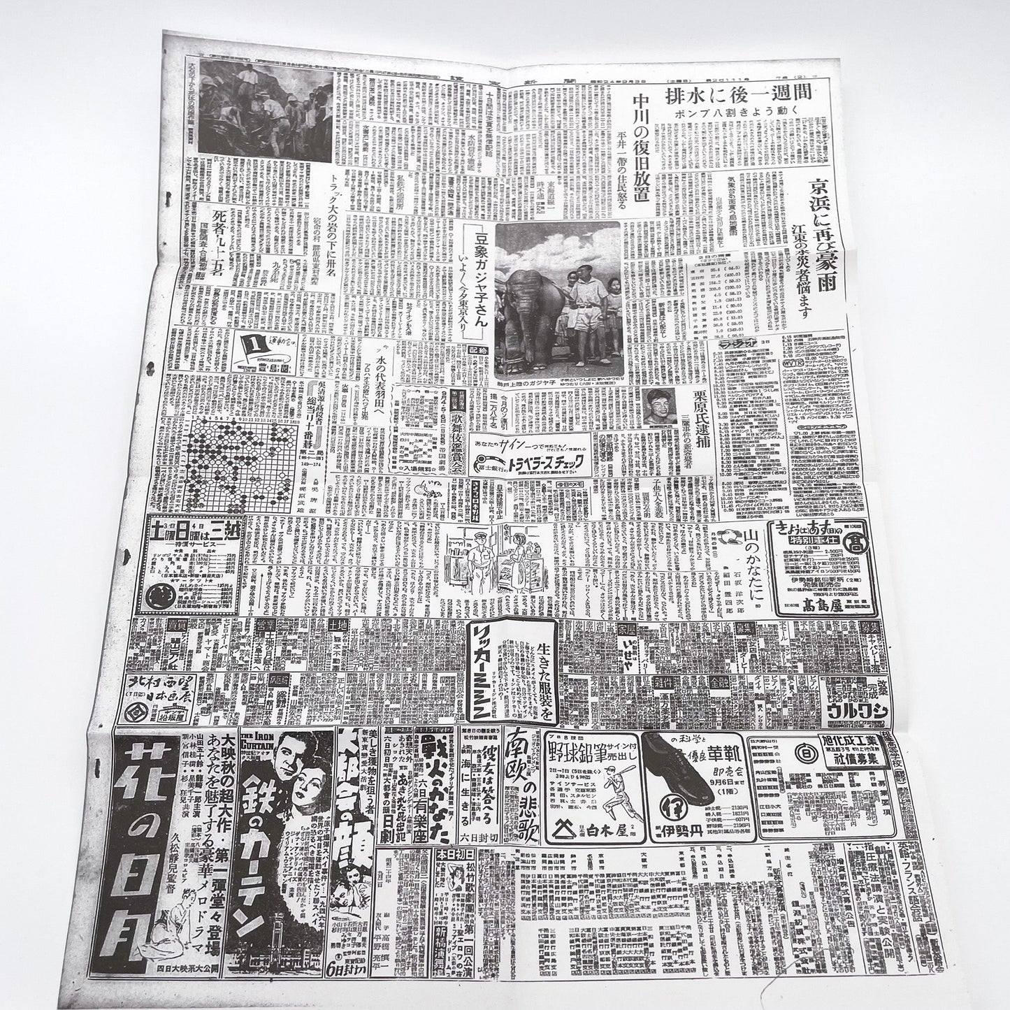 記録集 はな子のいる風景：イメージを（ひっ）くりかえす 武蔵野市立吉祥寺美術館