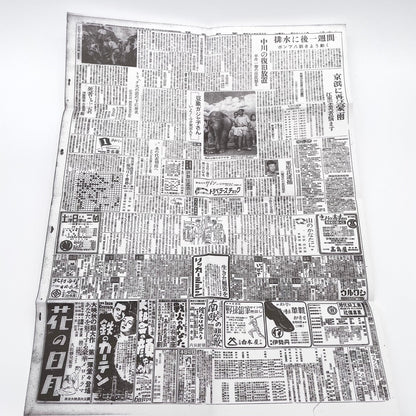 記録集 はな子のいる風景：イメージを（ひっ）くりかえす 武蔵野市立吉祥寺美術館