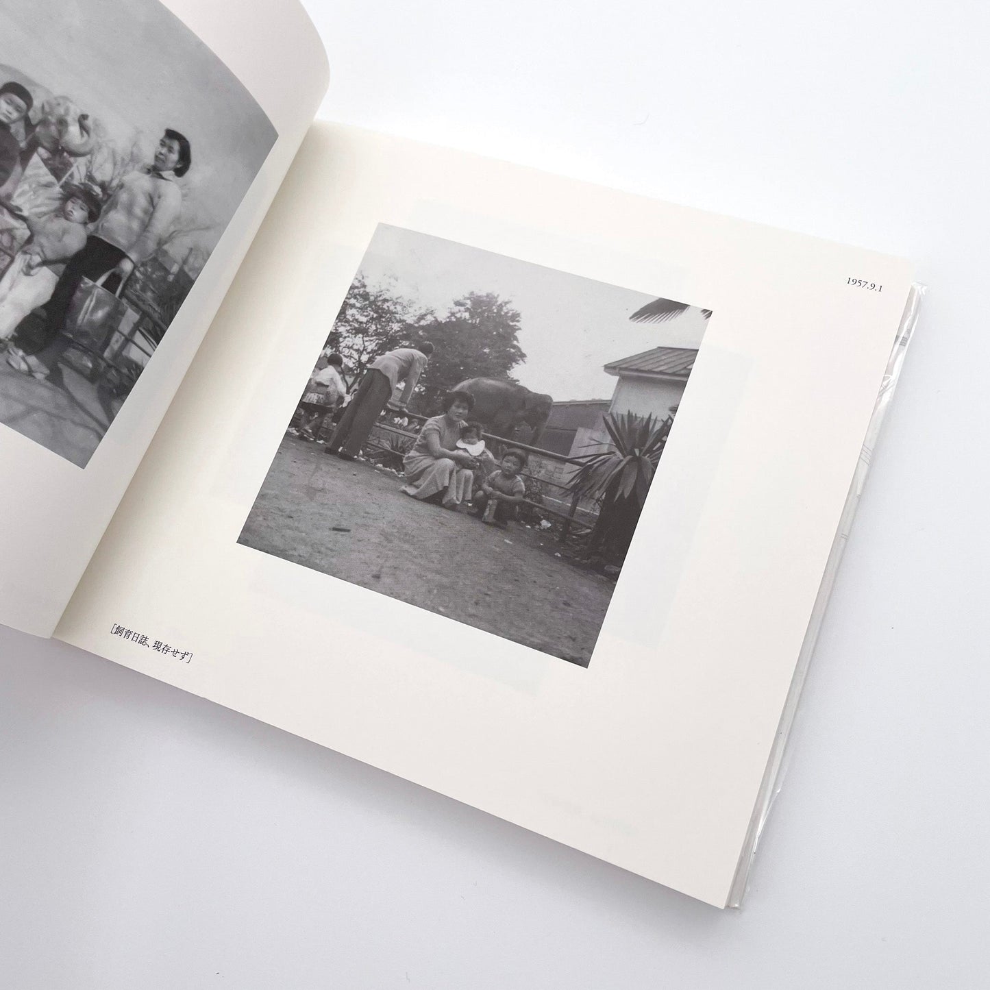 記録集 はな子のいる風景：イメージを（ひっ）くりかえす 武蔵野市立吉祥寺美術館