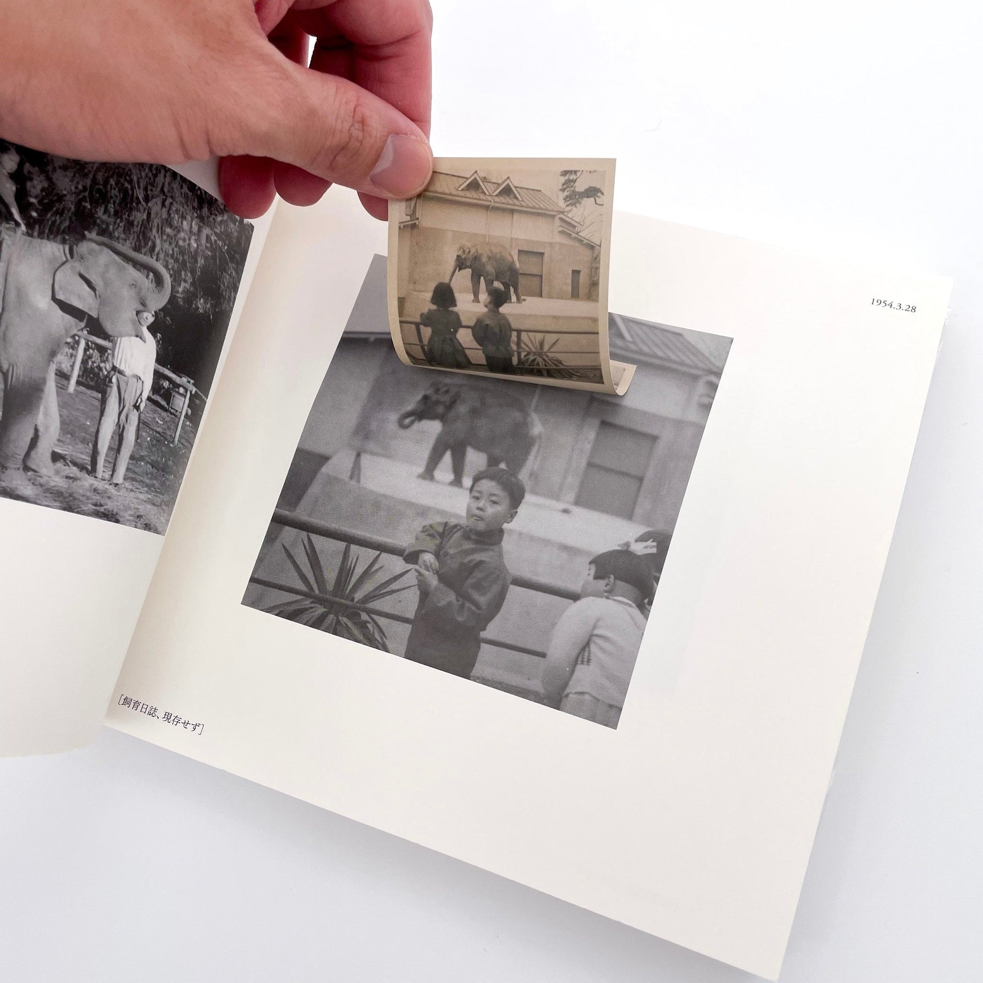 記録集 はな子のいる風景：イメージを（ひっ）くりかえす 武蔵野市立吉祥寺美術館