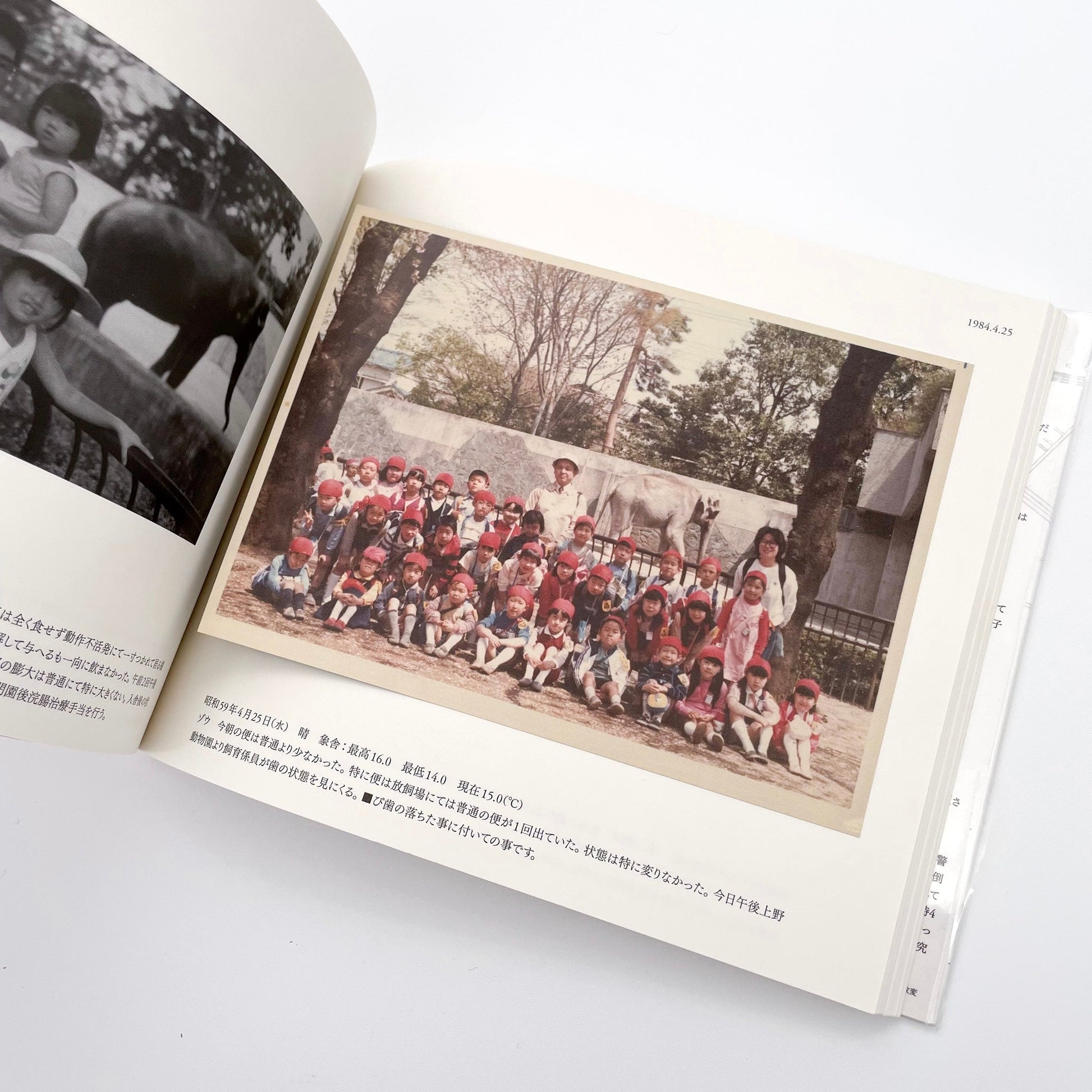 記録集 はな子のいる風景：イメージを（ひっ）くりかえす 武蔵野市立吉祥寺美術館