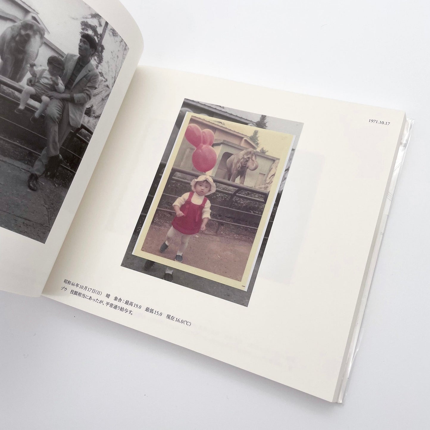 記録集 はな子のいる風景：イメージを（ひっ）くりかえす 武蔵野市立吉祥寺美術館