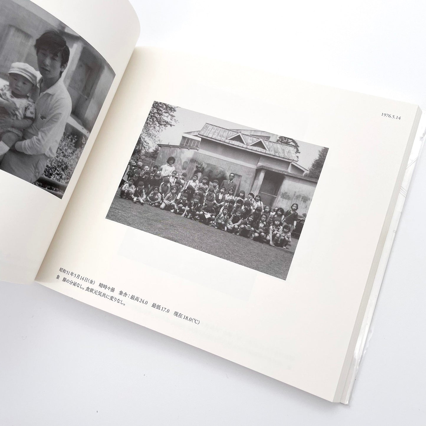 記録集 はな子のいる風景：イメージを（ひっ）くりかえす 武蔵野市立吉祥寺美術館