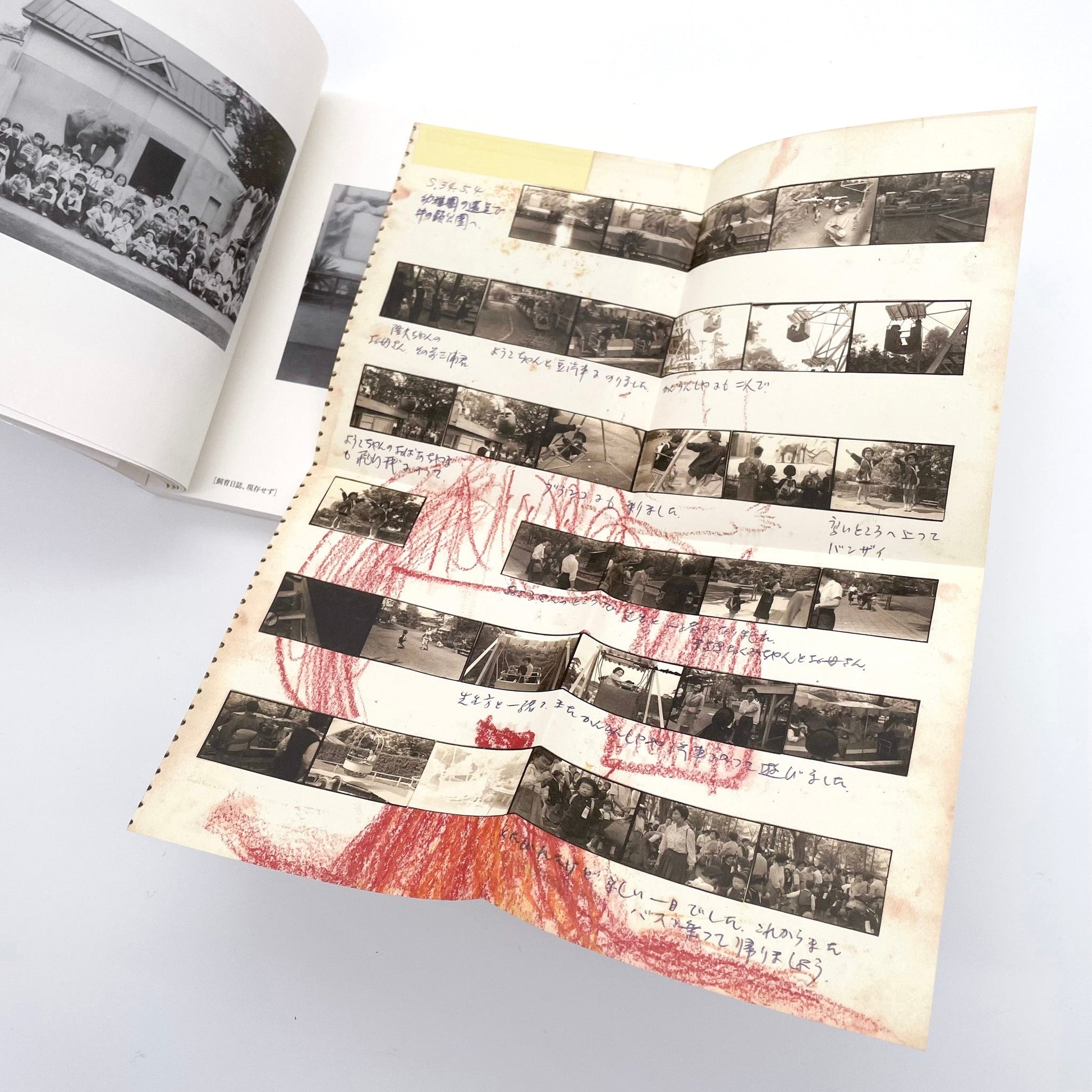 記録集 はな子のいる風景：イメージを（ひっ）くりかえす 武蔵野市立吉祥寺美術館