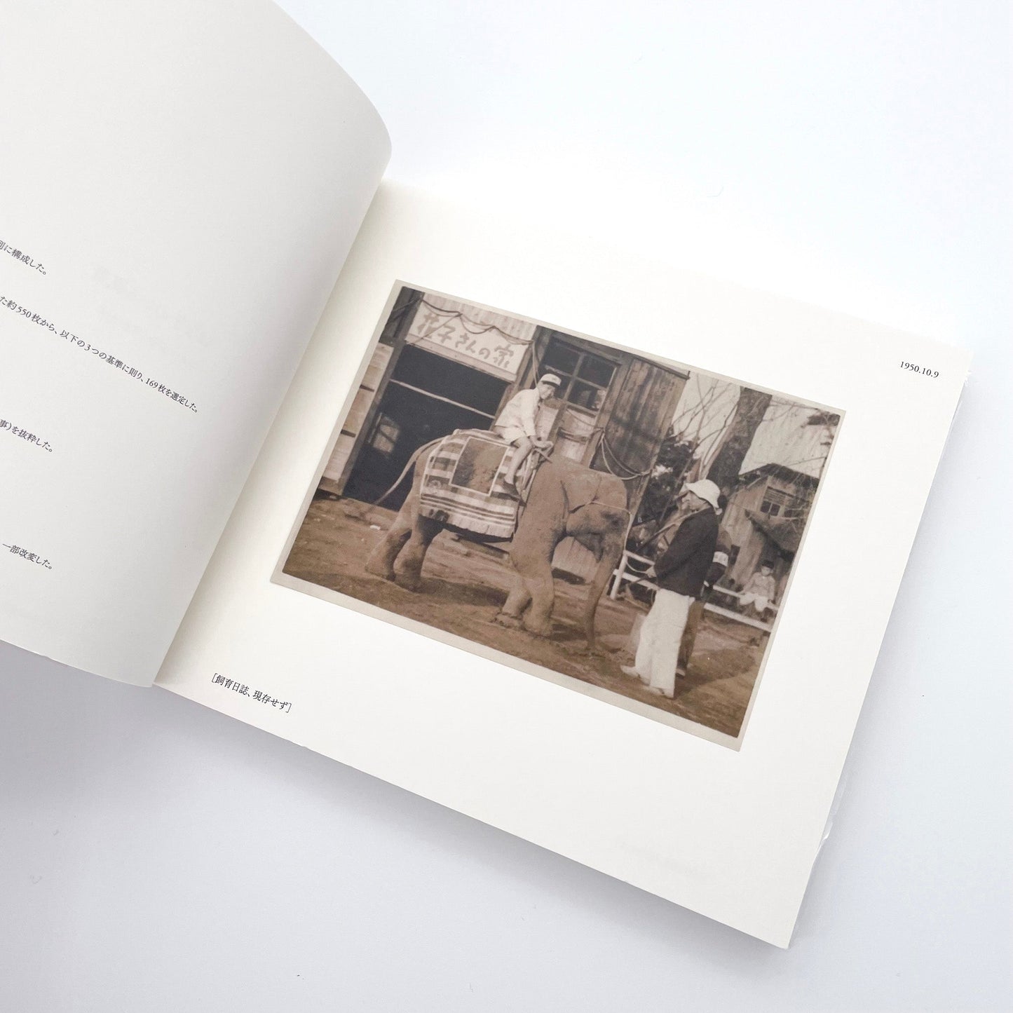 記録集 はな子のいる風景：イメージを（ひっ）くりかえす 武蔵野市立吉祥寺美術館