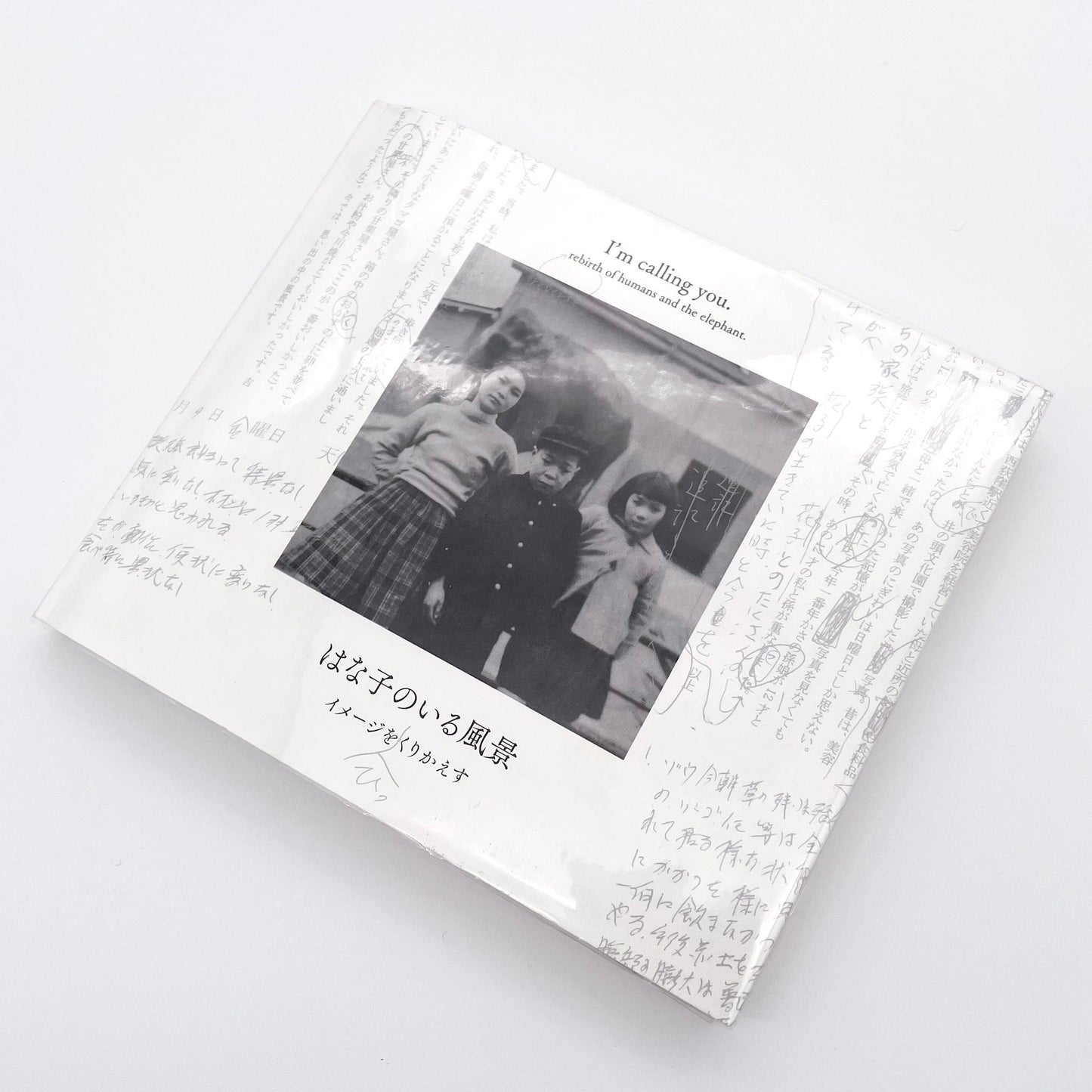 記録集 はな子のいる風景：イメージを（ひっ）くりかえす 武蔵野市立吉祥寺美術館