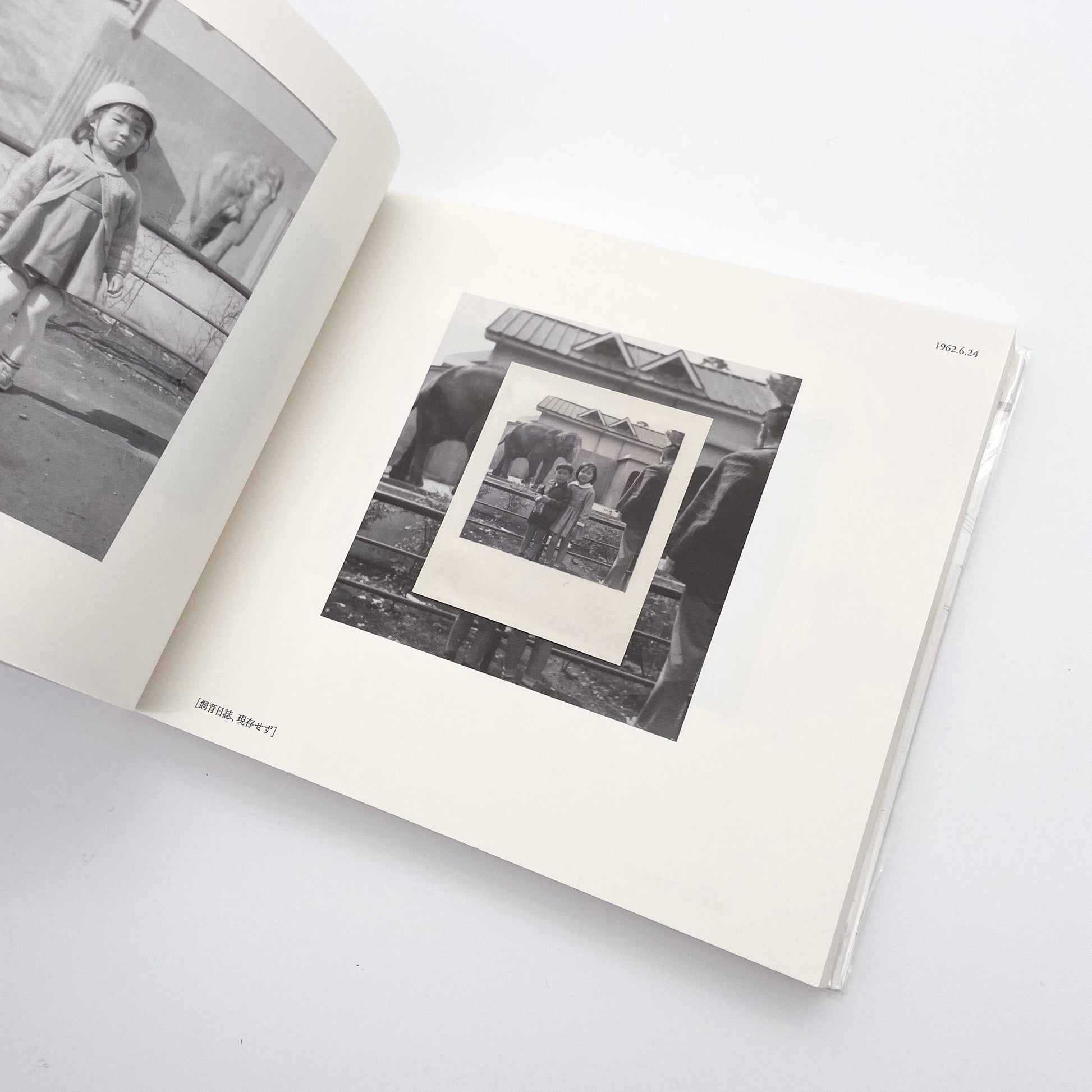 記録集 はな子のいる風景：イメージを（ひっ）くりかえす 武蔵野市立吉祥寺美術館