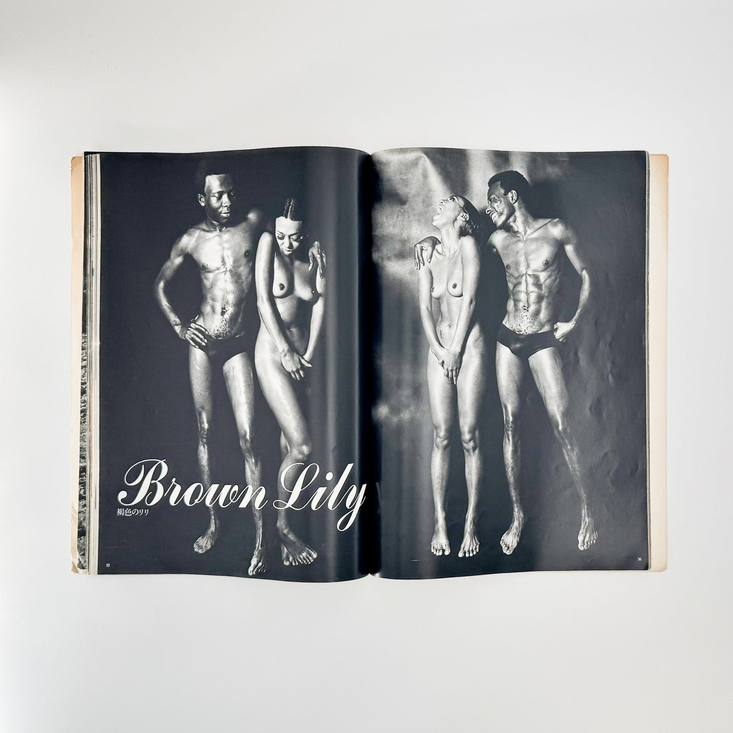 篠山紀信　NUDE 文福