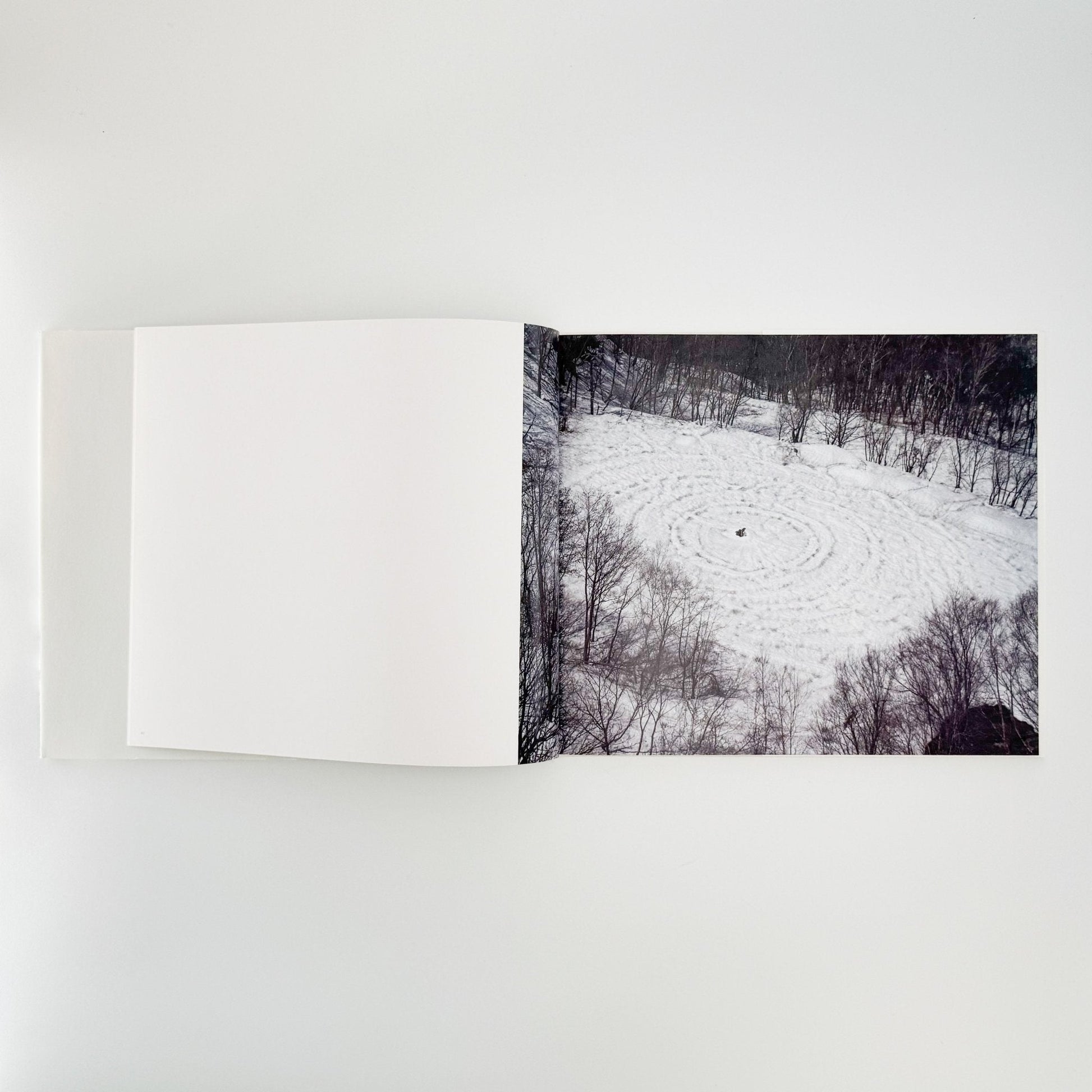 小林のりお　Cluster of Dreams - 武蔵野美術大学出版局 - 文福