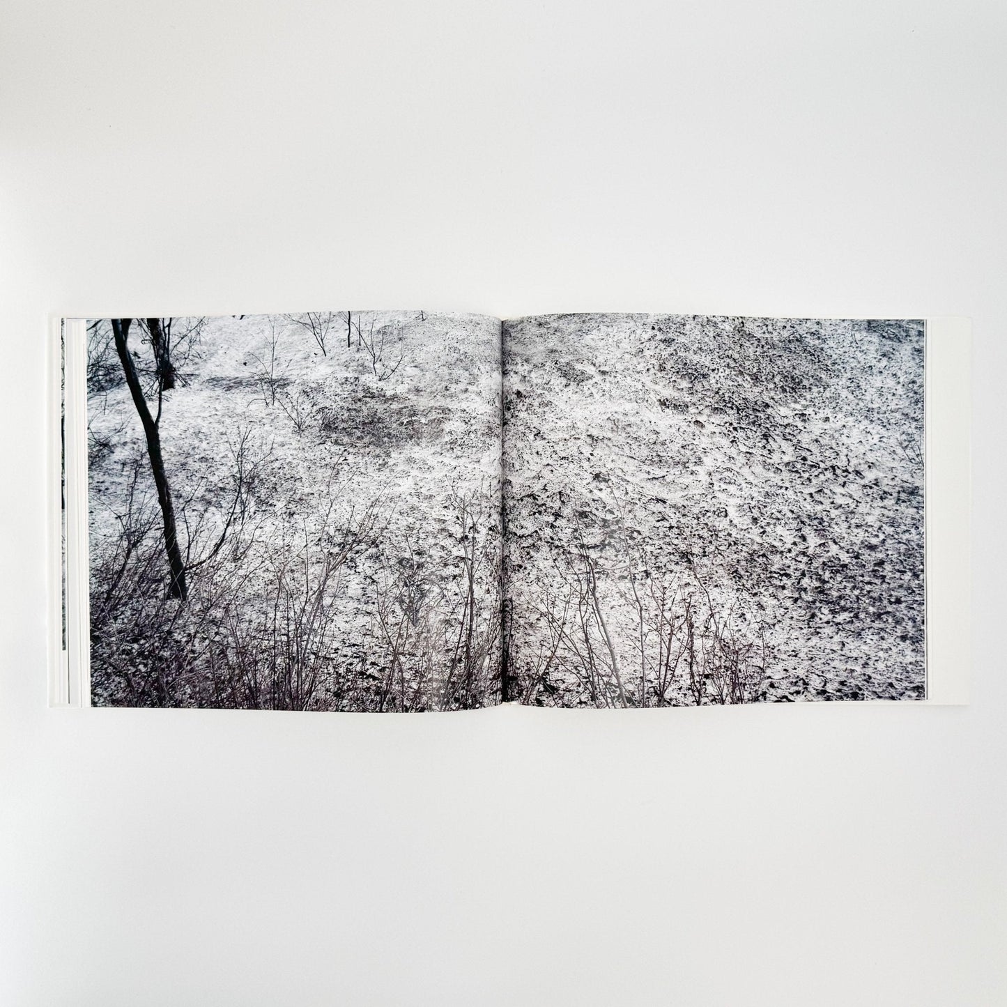 小林のりお　Cluster of Dreams - 武蔵野美術大学出版局 - 文福