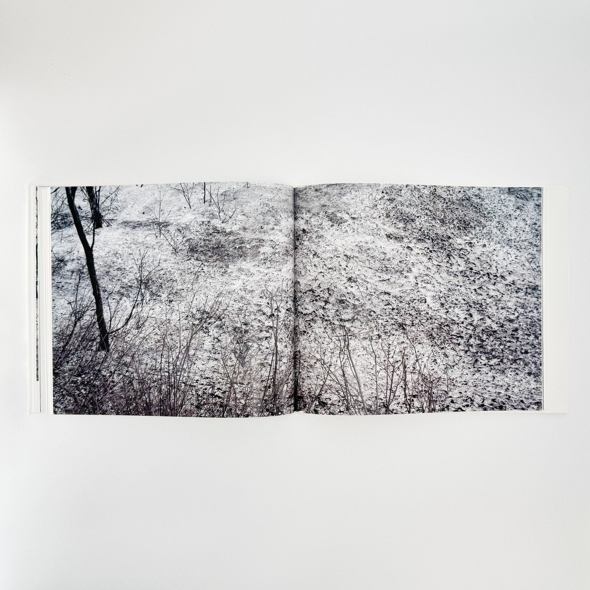 小林のりお　Cluster of Dreams - 武蔵野美術大学出版局 - 文福