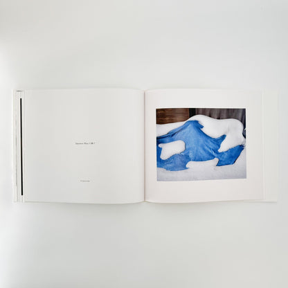 小林のりお　Cluster of Dreams - 武蔵野美術大学出版局 - 文福