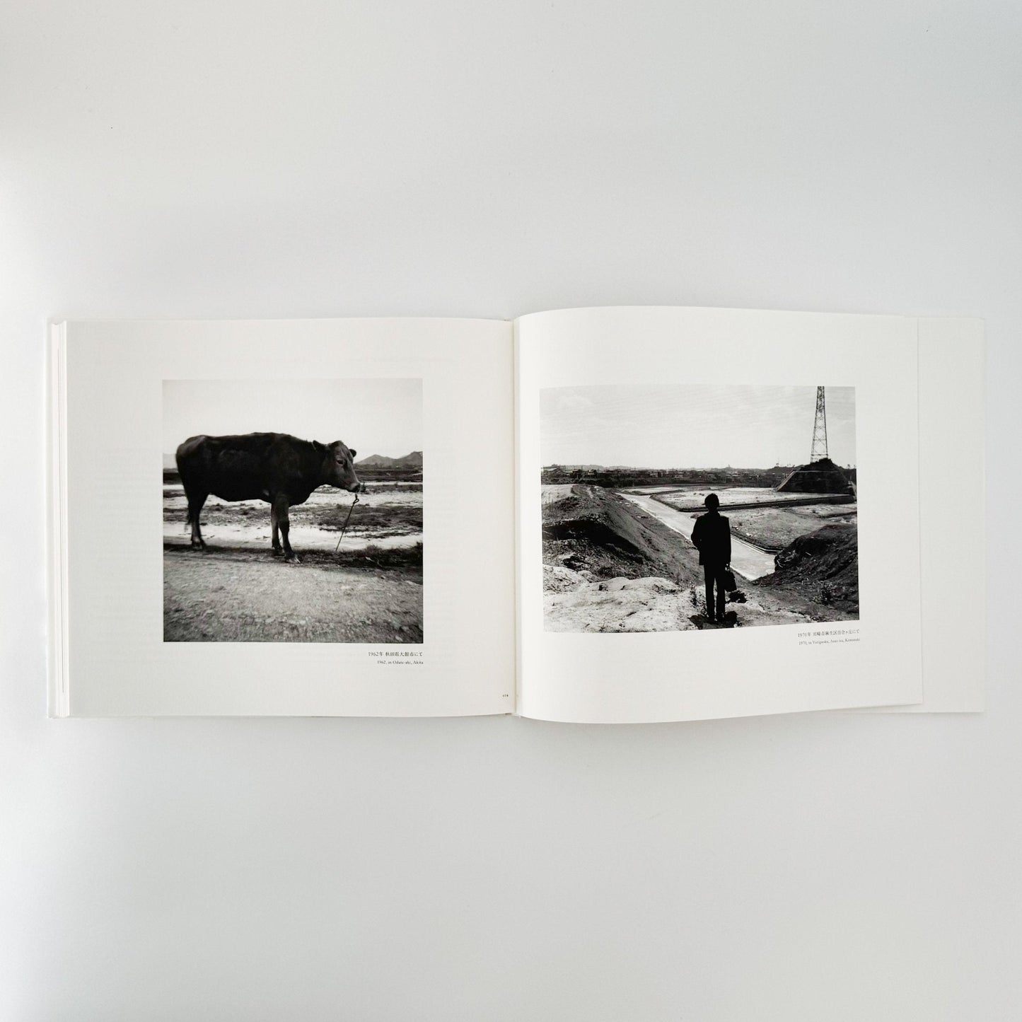 小林のりお　Cluster of Dreams - 武蔵野美術大学出版局 - 文福