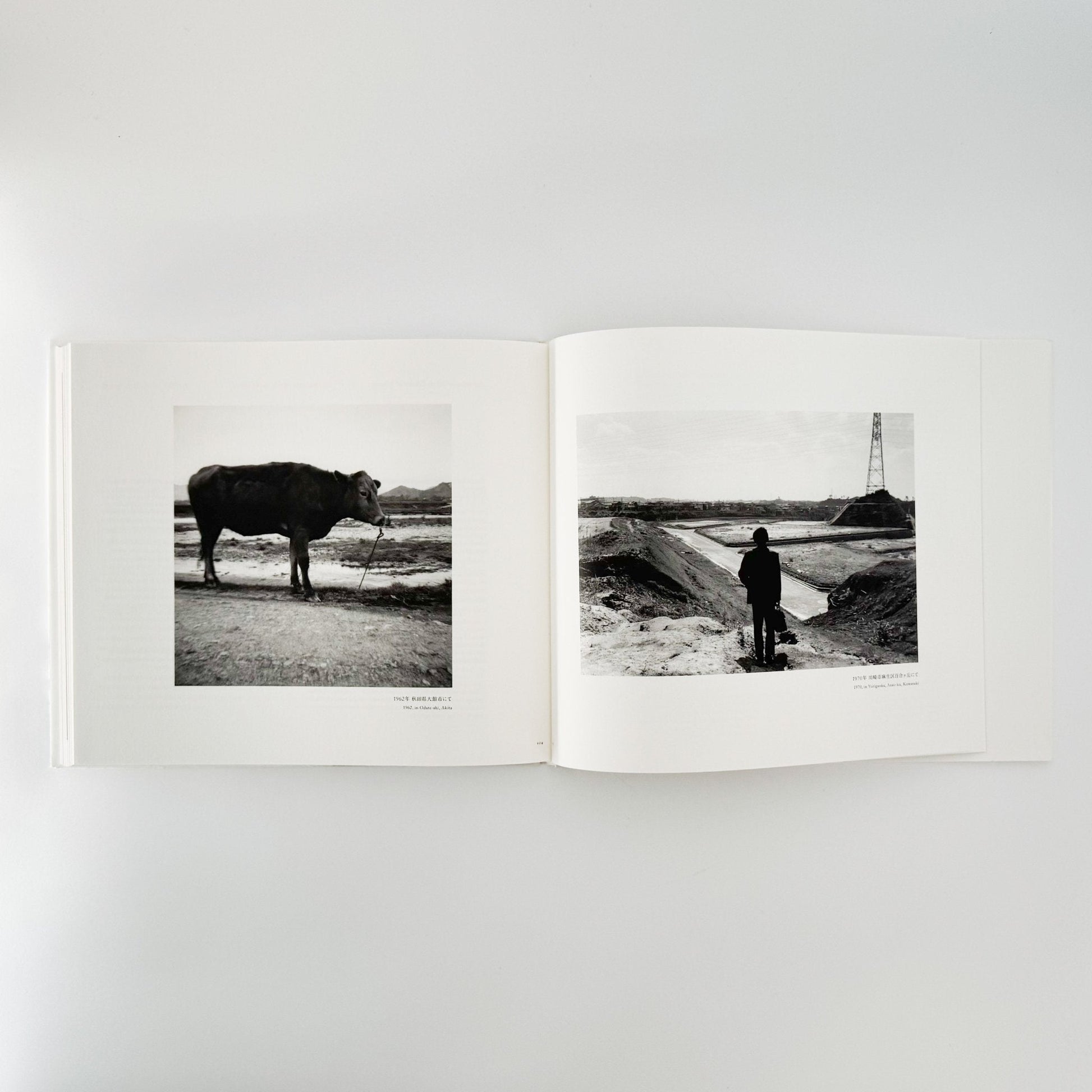 小林のりお　Cluster of Dreams - 武蔵野美術大学出版局 - 文福