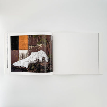 小林のりお　Cluster of Dreams - 武蔵野美術大学出版局 - 文福