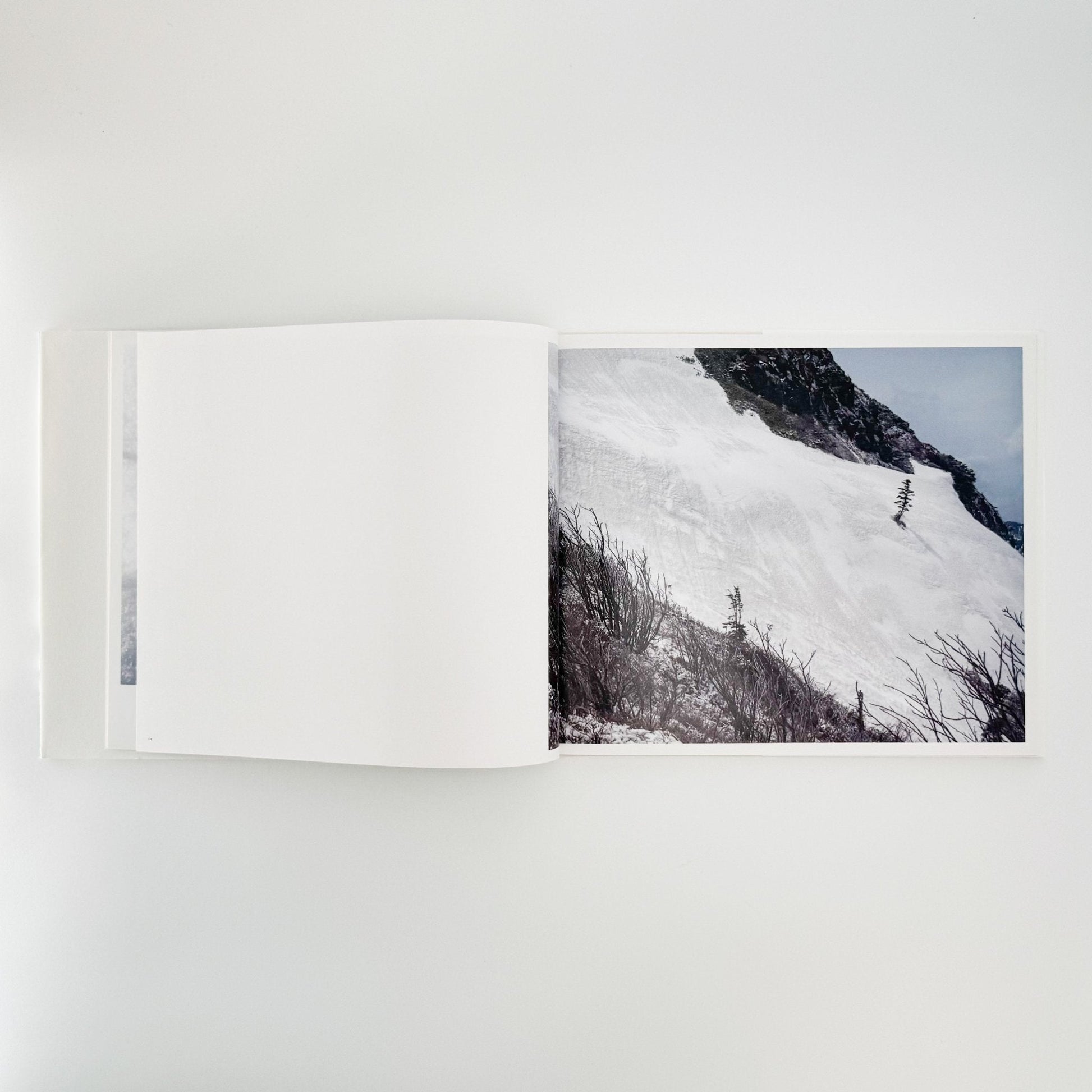 小林のりお　Cluster of Dreams - 武蔵野美術大学出版局 - 文福