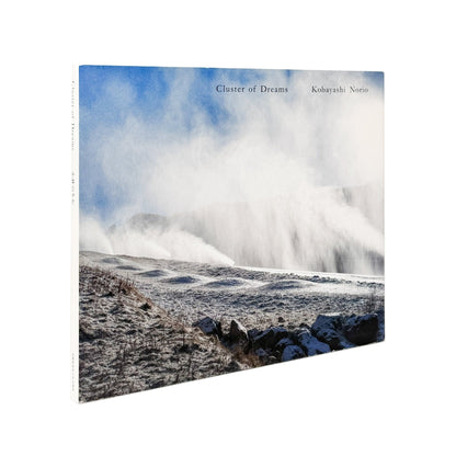 小林のりお　Cluster of Dreams - 武蔵野美術大学出版局 - 文福