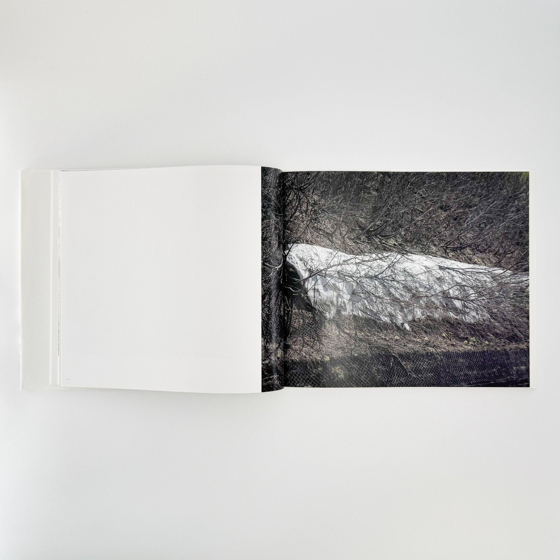 小林のりお　Cluster of Dreams - 武蔵野美術大学出版局 - 文福