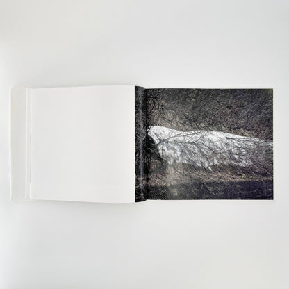 小林のりお　Cluster of Dreams - 武蔵野美術大学出版局 - 文福